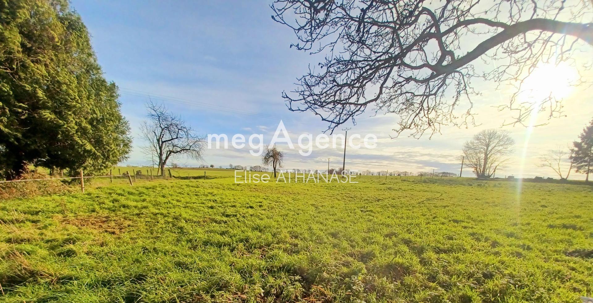 Miniature photo - 16 / 19