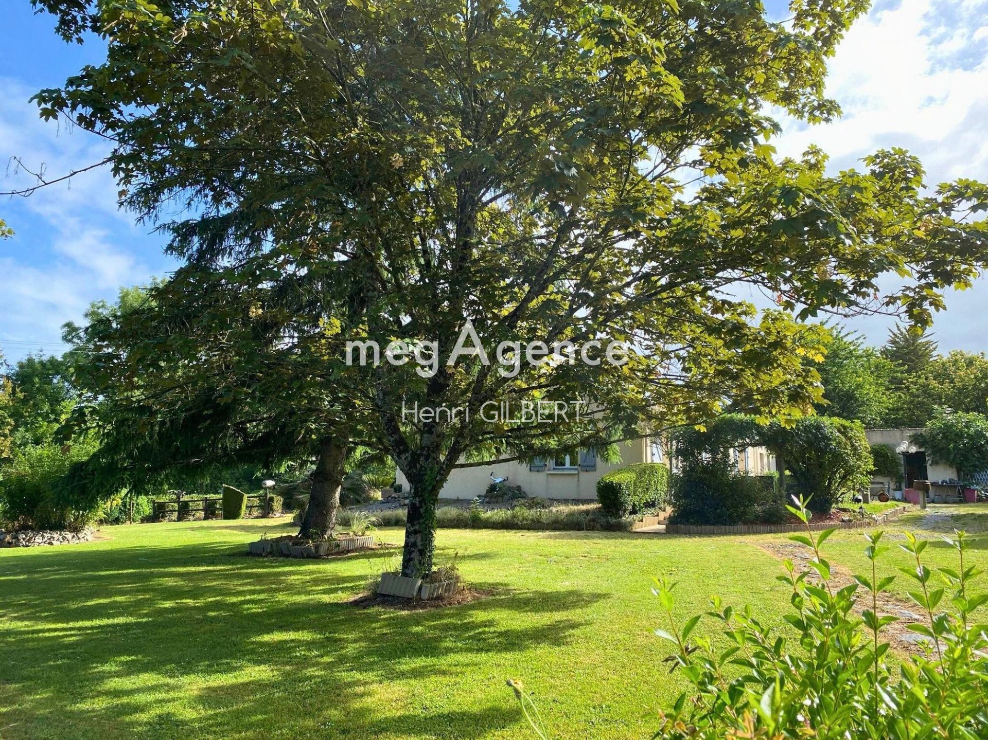 Miniature photo - 15 / 18