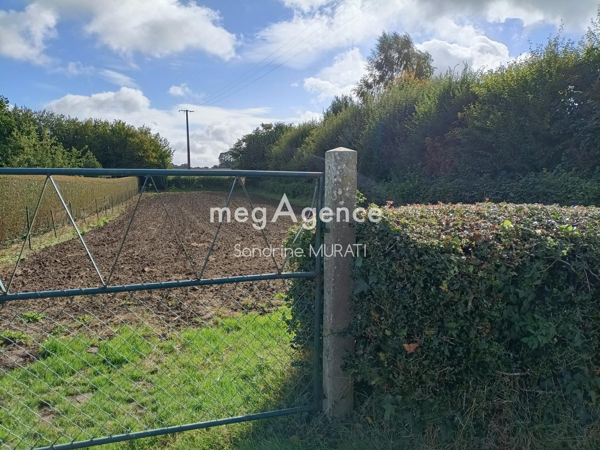 Miniature photo - 4 / 5