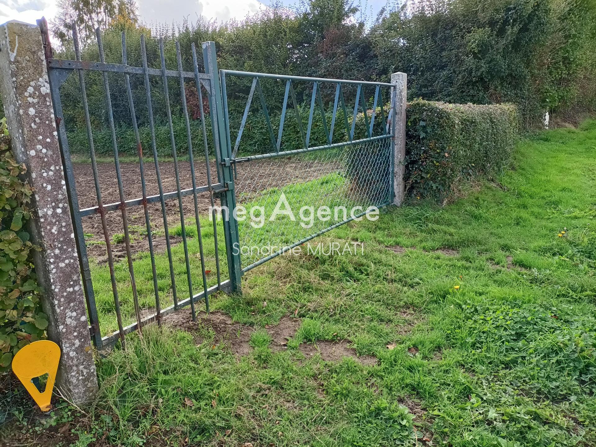 Miniature photo - 2 / 5