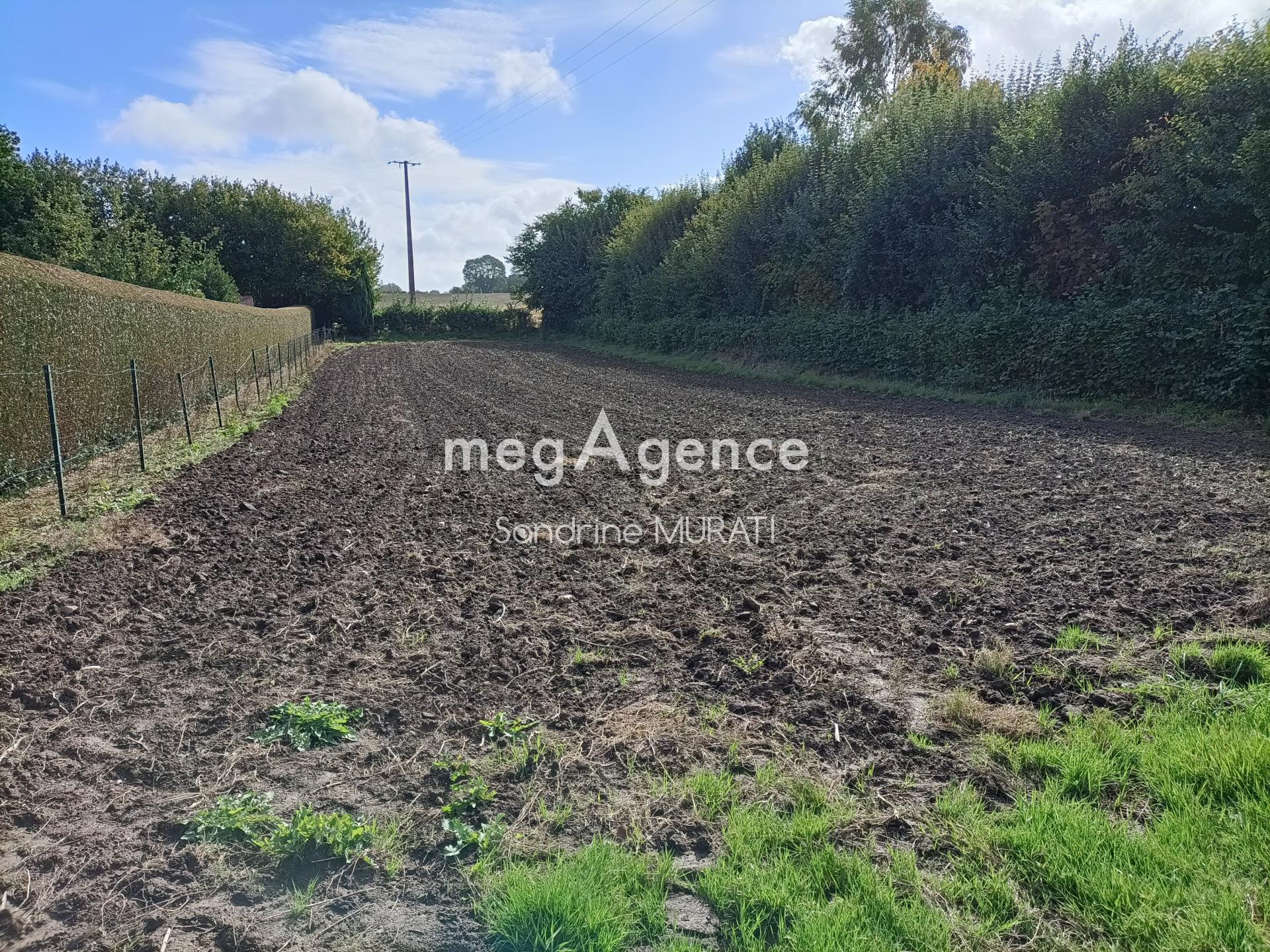 Photographie descriptive du bien