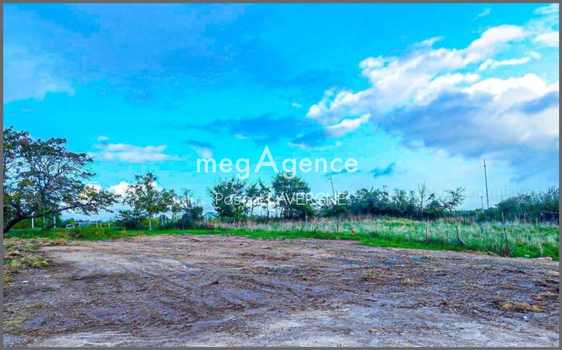 Miniature photo - 2 / 4