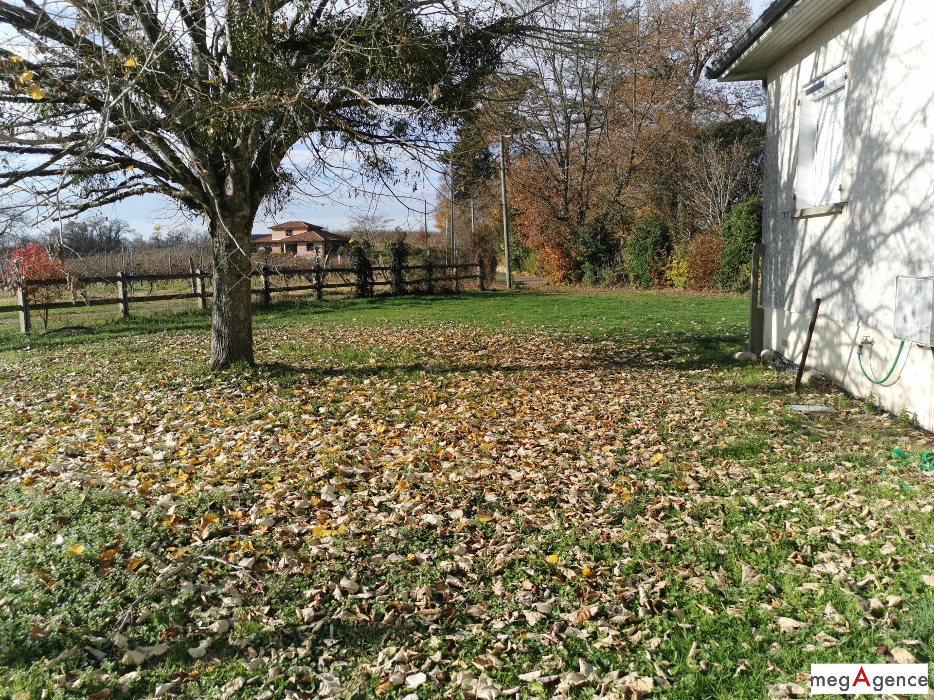 Miniature photo - 15 / 15