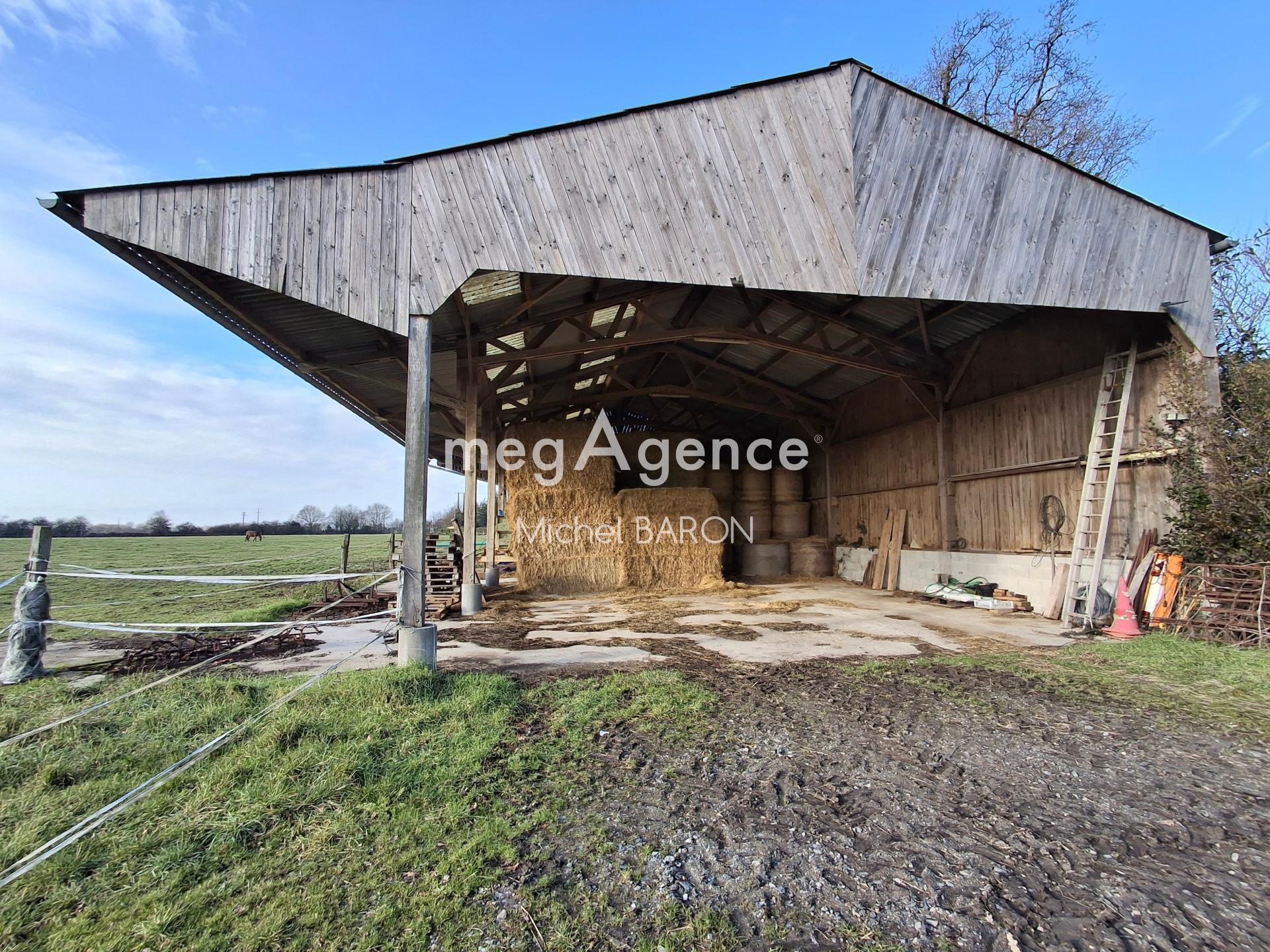 Miniature photo - 5 / 10