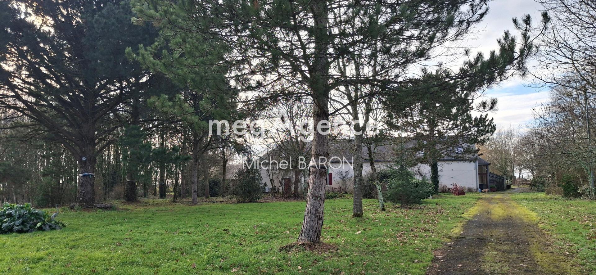 Miniature photo - 4 / 10