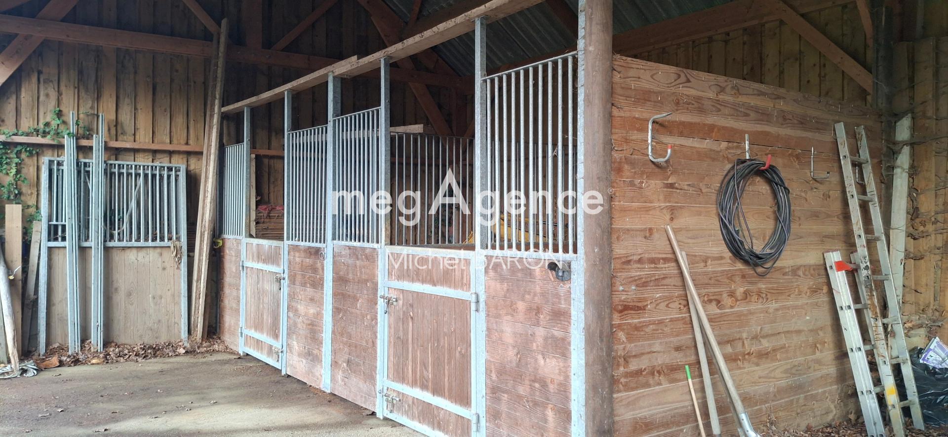 Miniature photo - 6 / 10