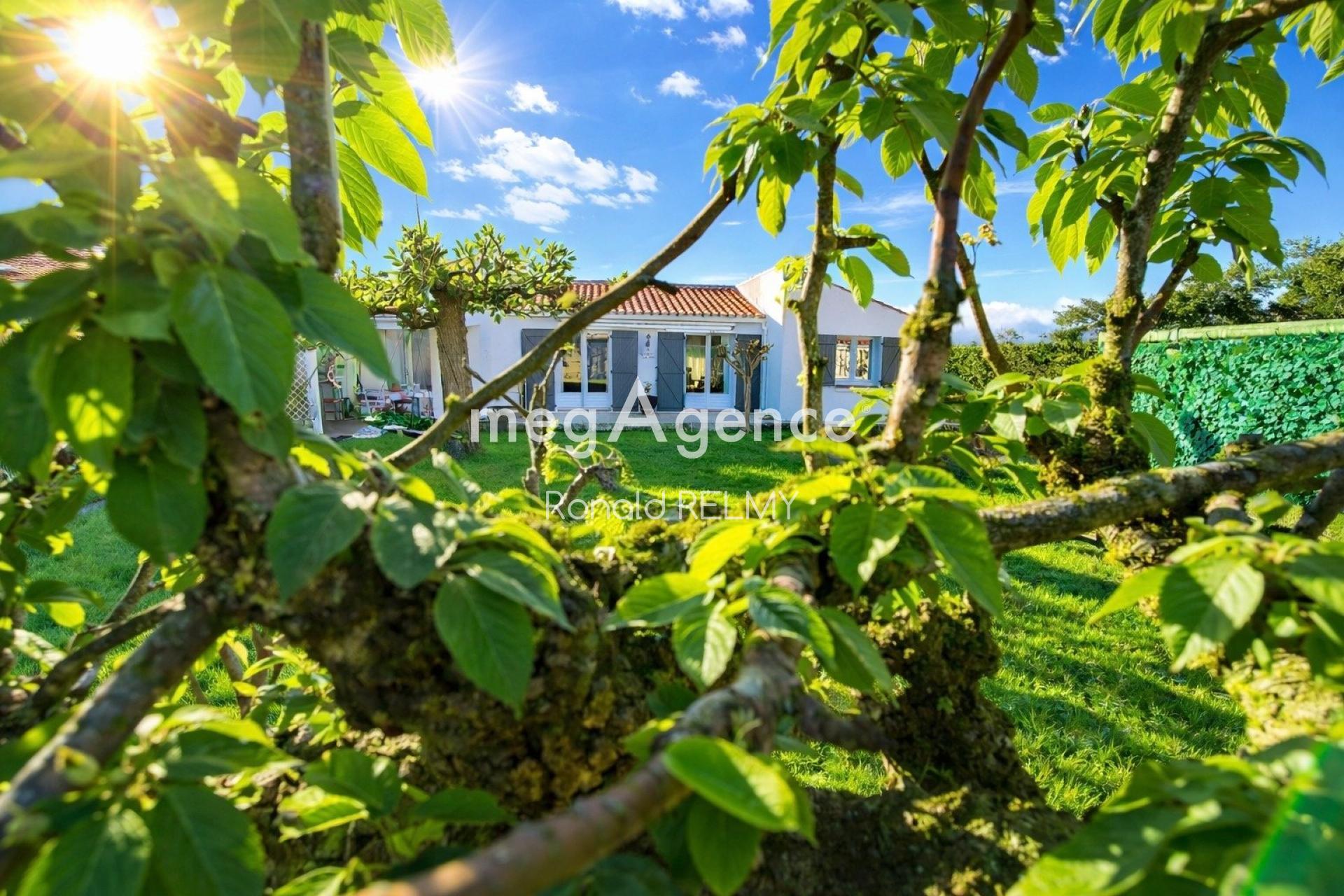 Miniature photo - 10 / 16