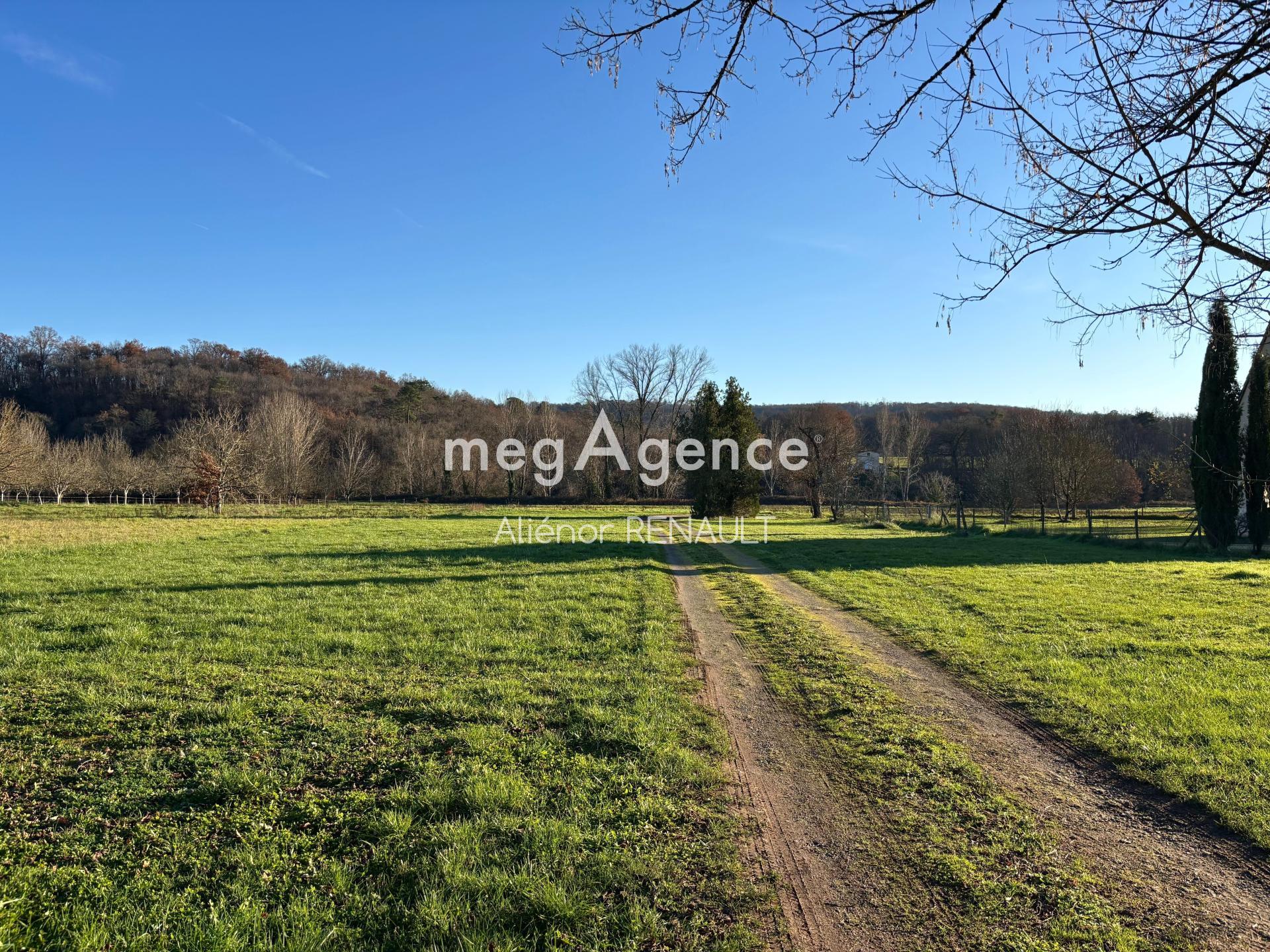 Miniature photo - 9 / 11