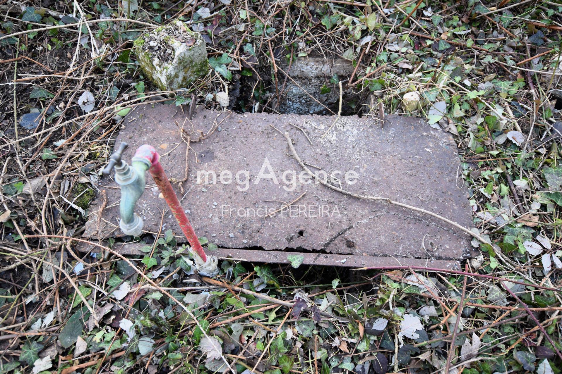 Miniature photo - 3 / 5