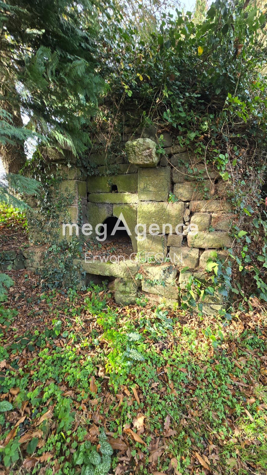 Miniature photo - 20 / 20