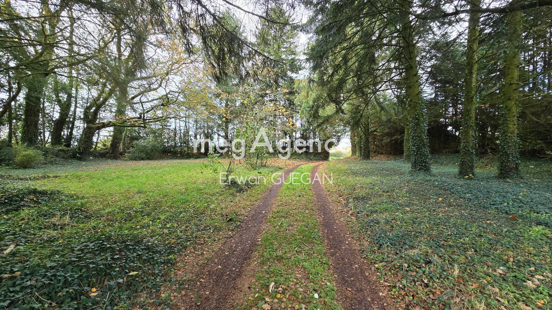 Miniature photo - 17 / 20