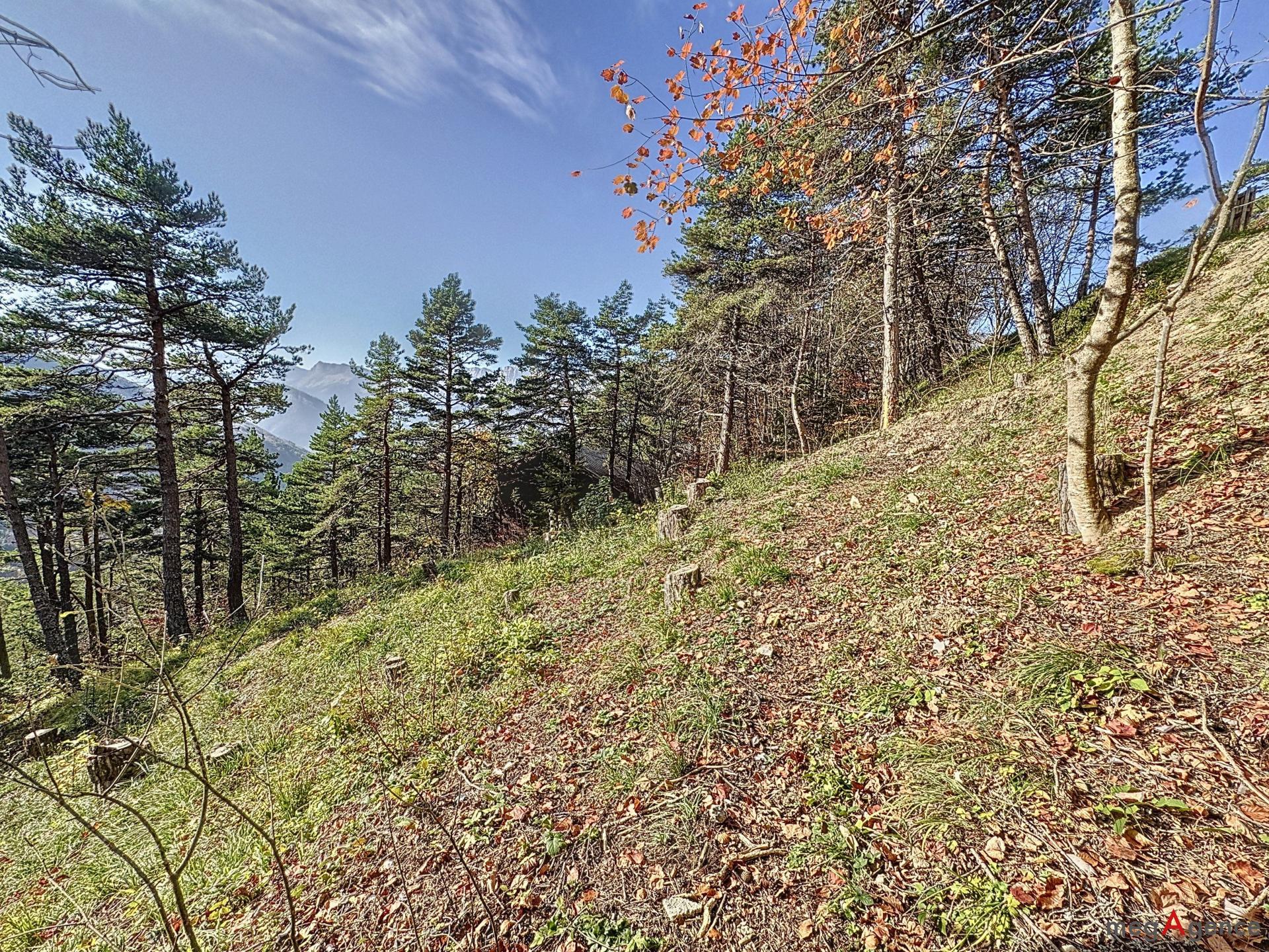 Miniature photo - 7 / 9