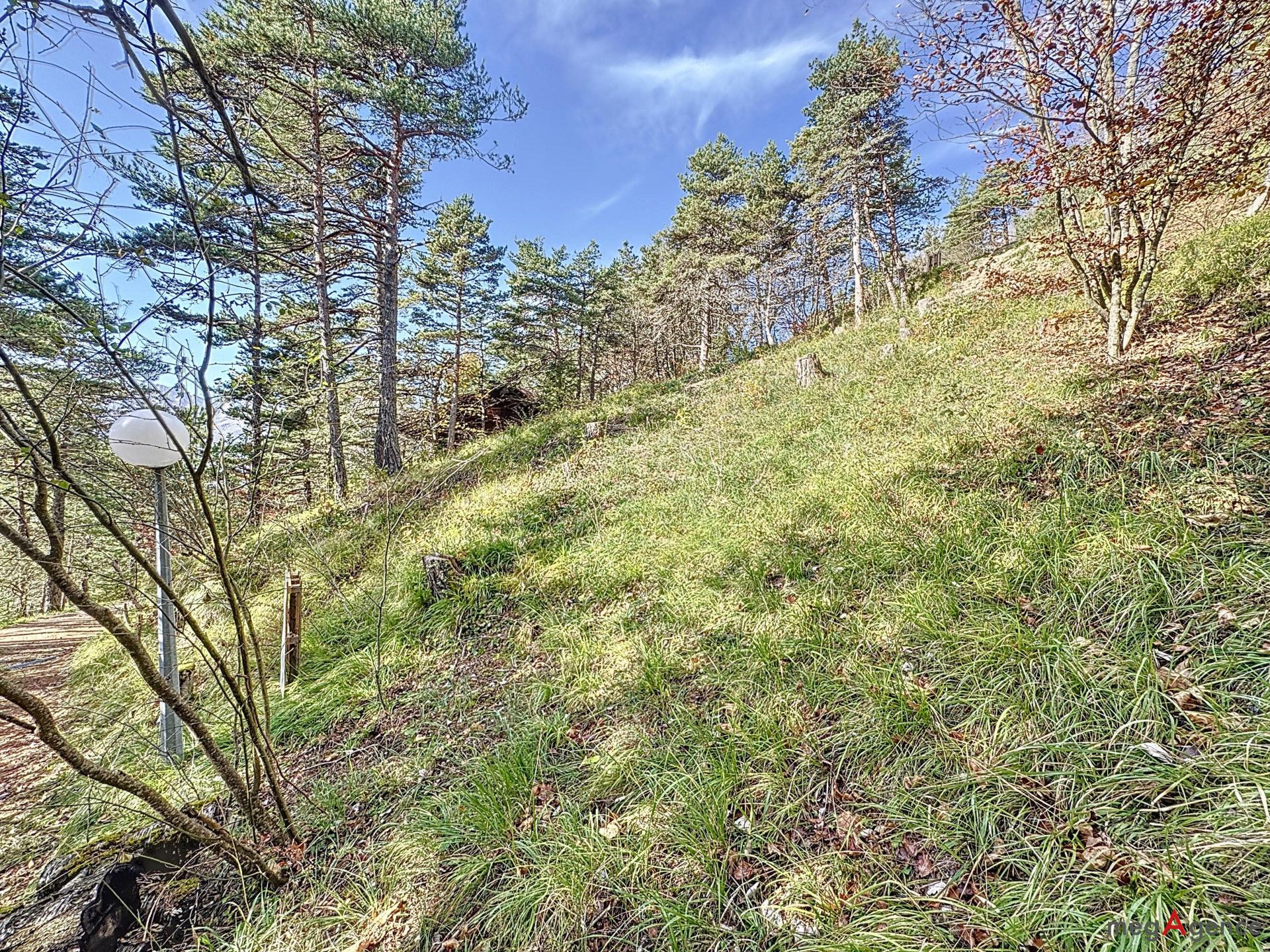 Miniature photo - 5 / 9