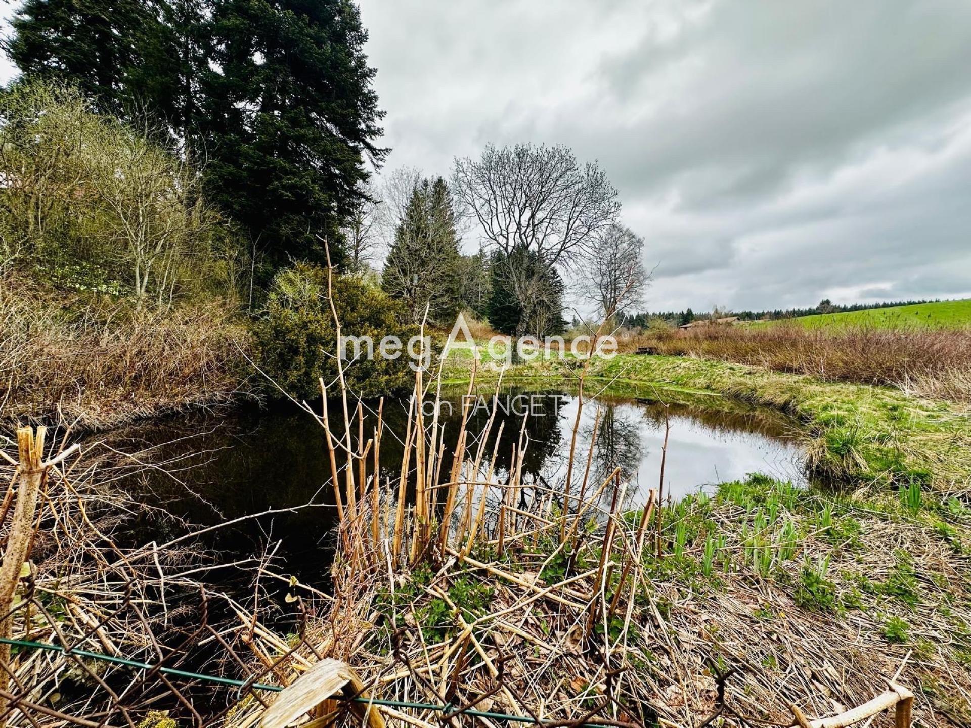 Photographie descriptive du bien