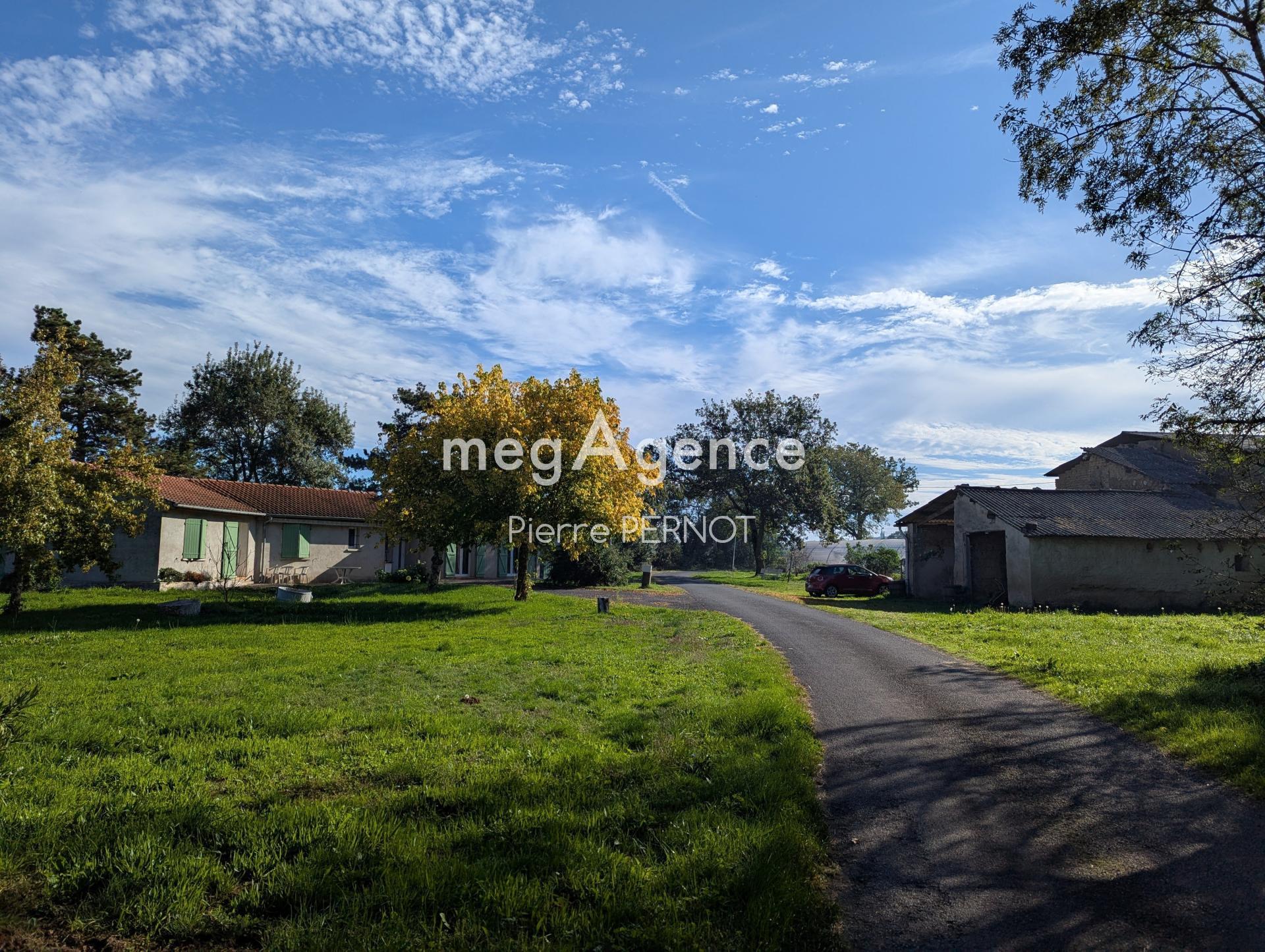 Miniature photo - 2 / 18