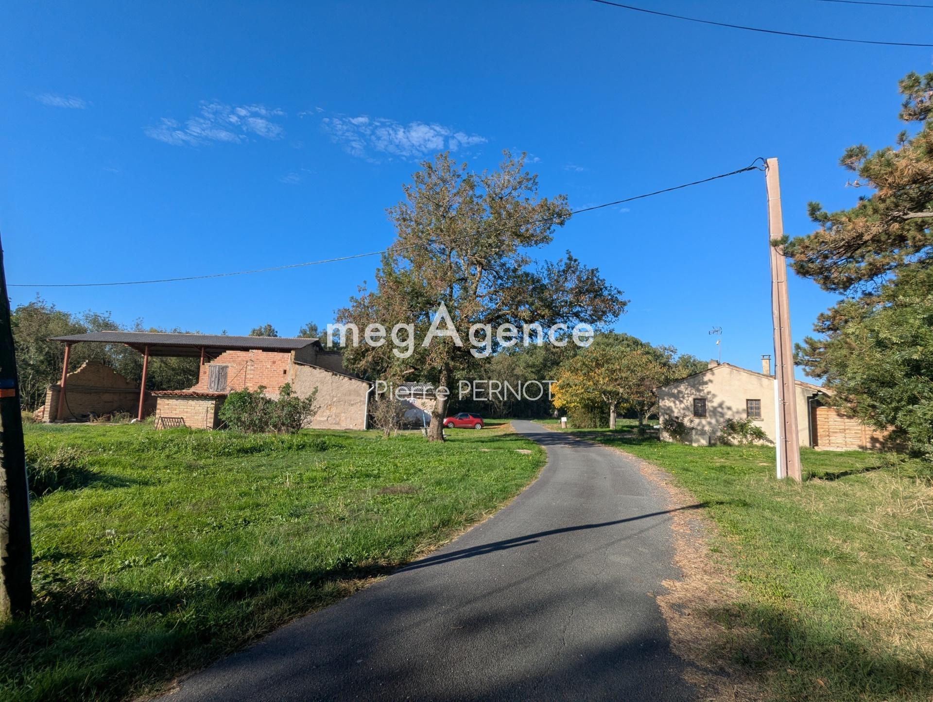 Miniature photo - 3 / 18