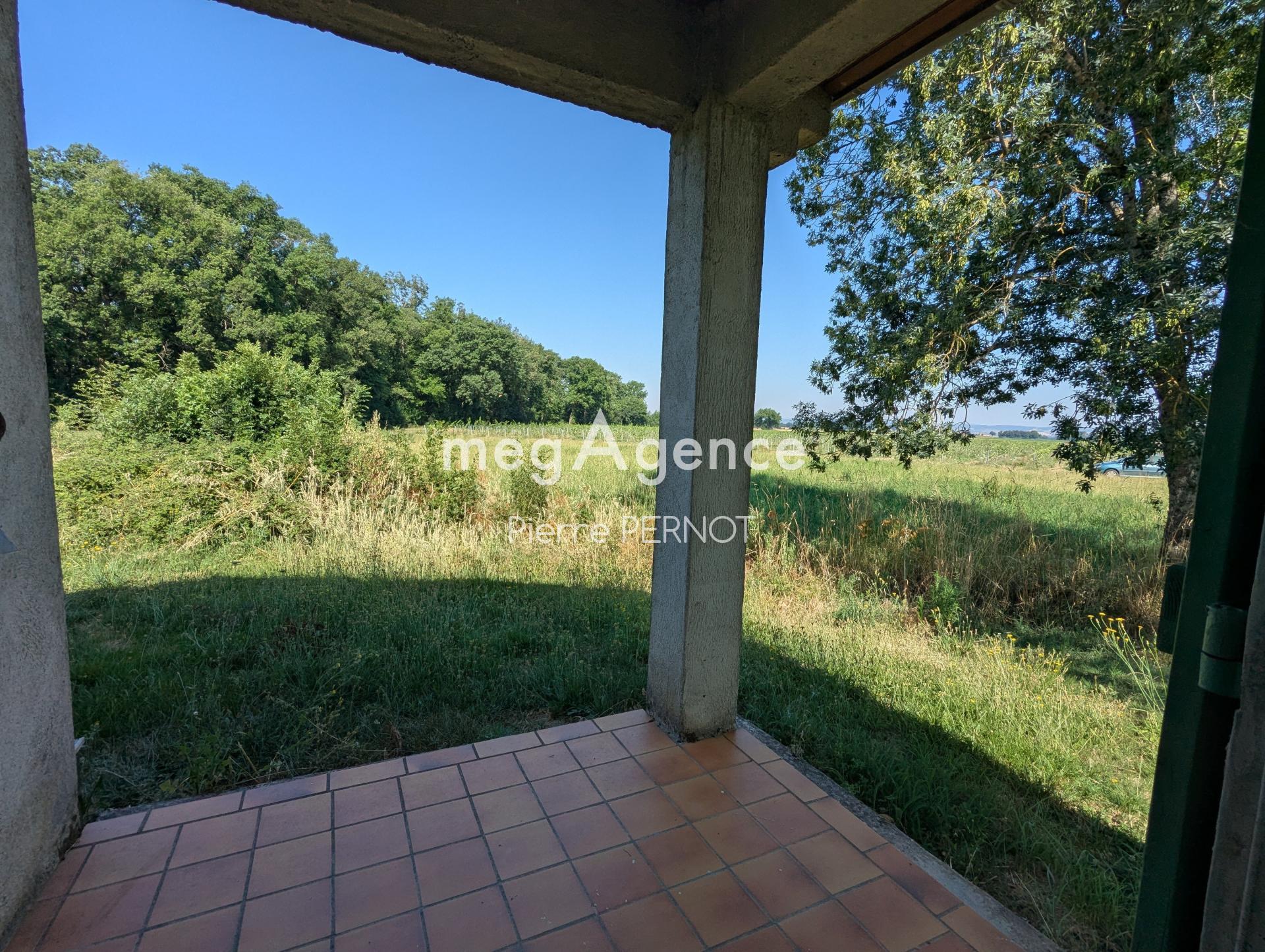 Miniature photo - 11 / 14