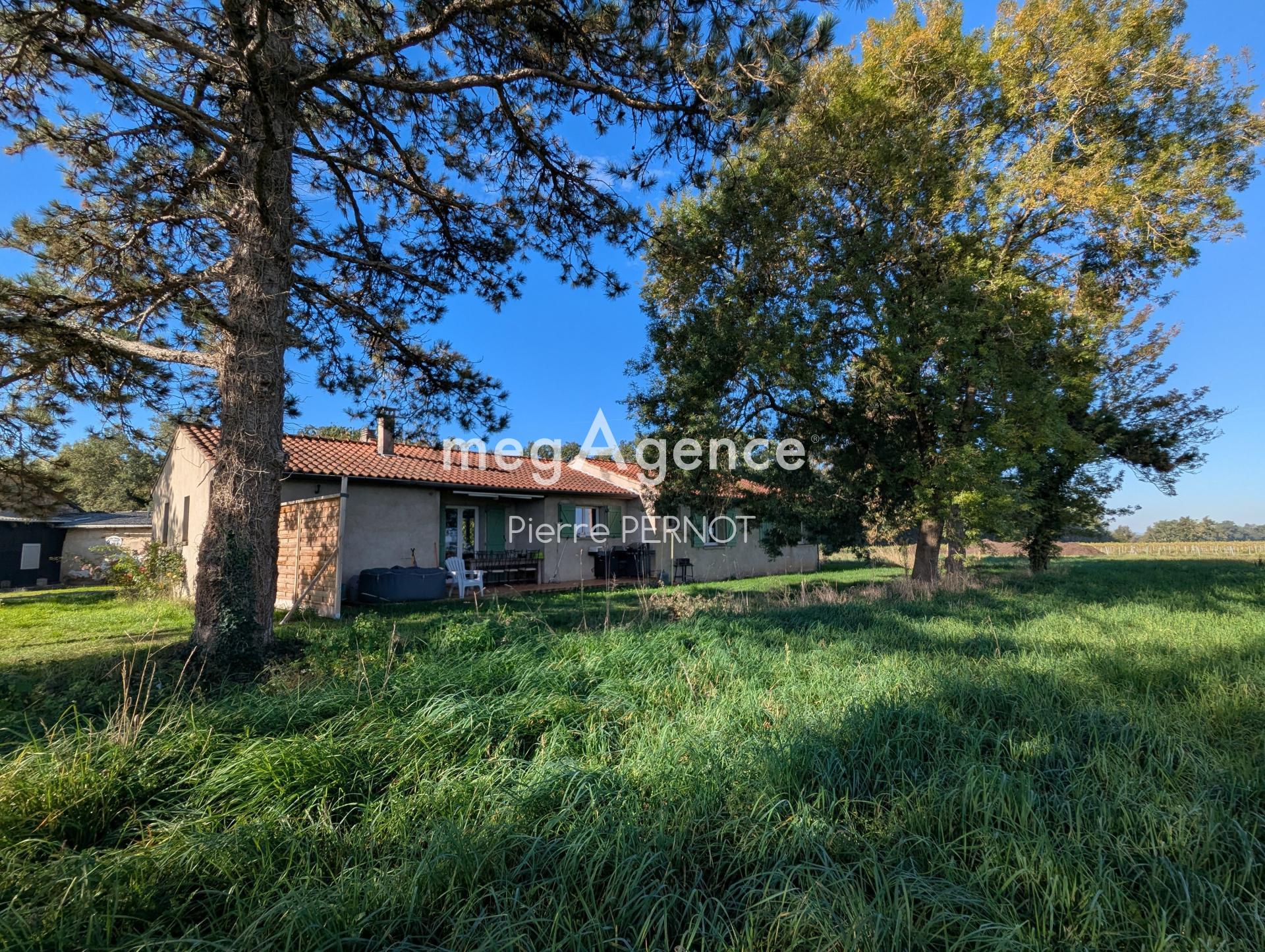 Miniature photo - 14 / 14