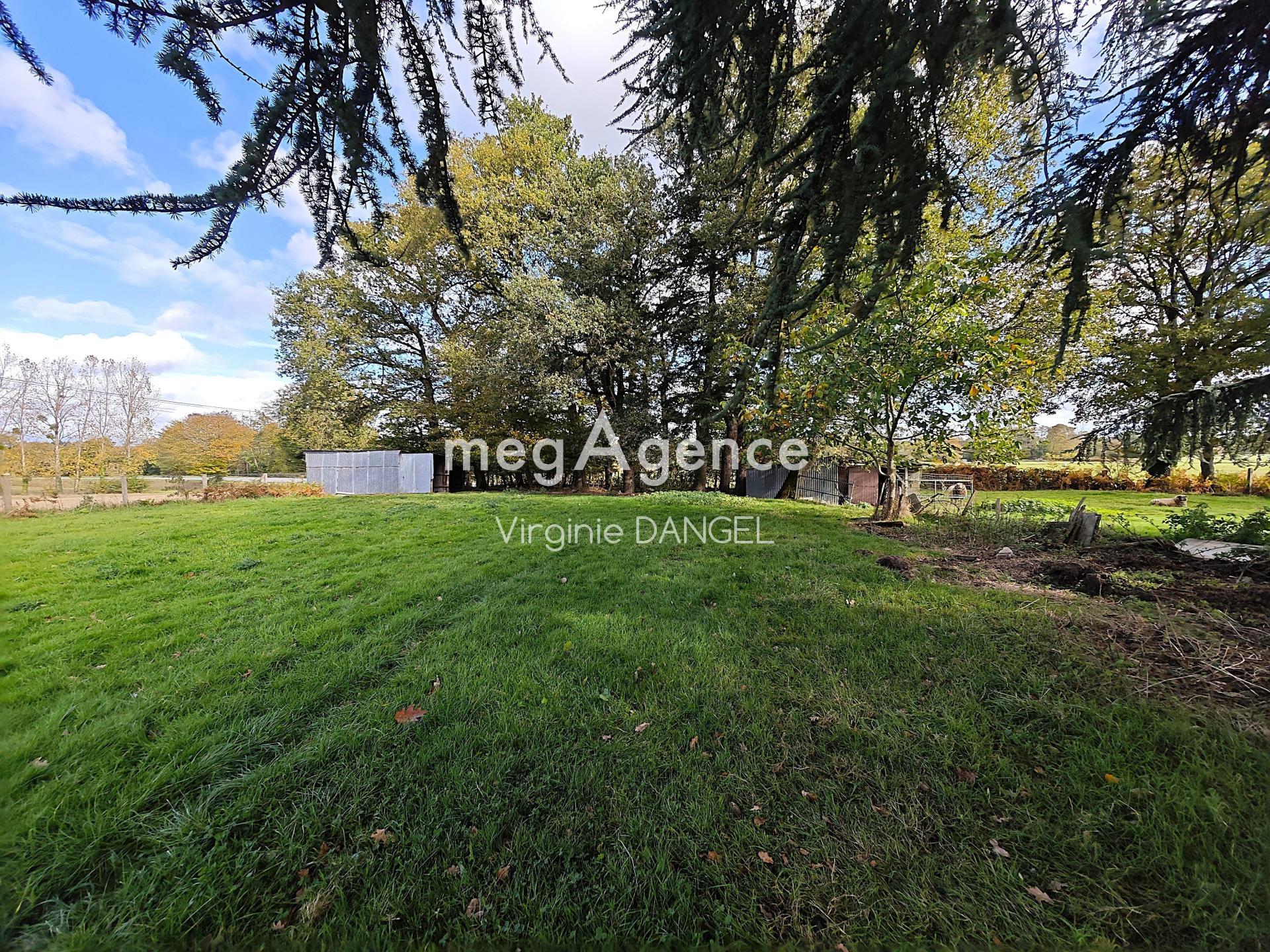 Miniature photo - 13 / 13