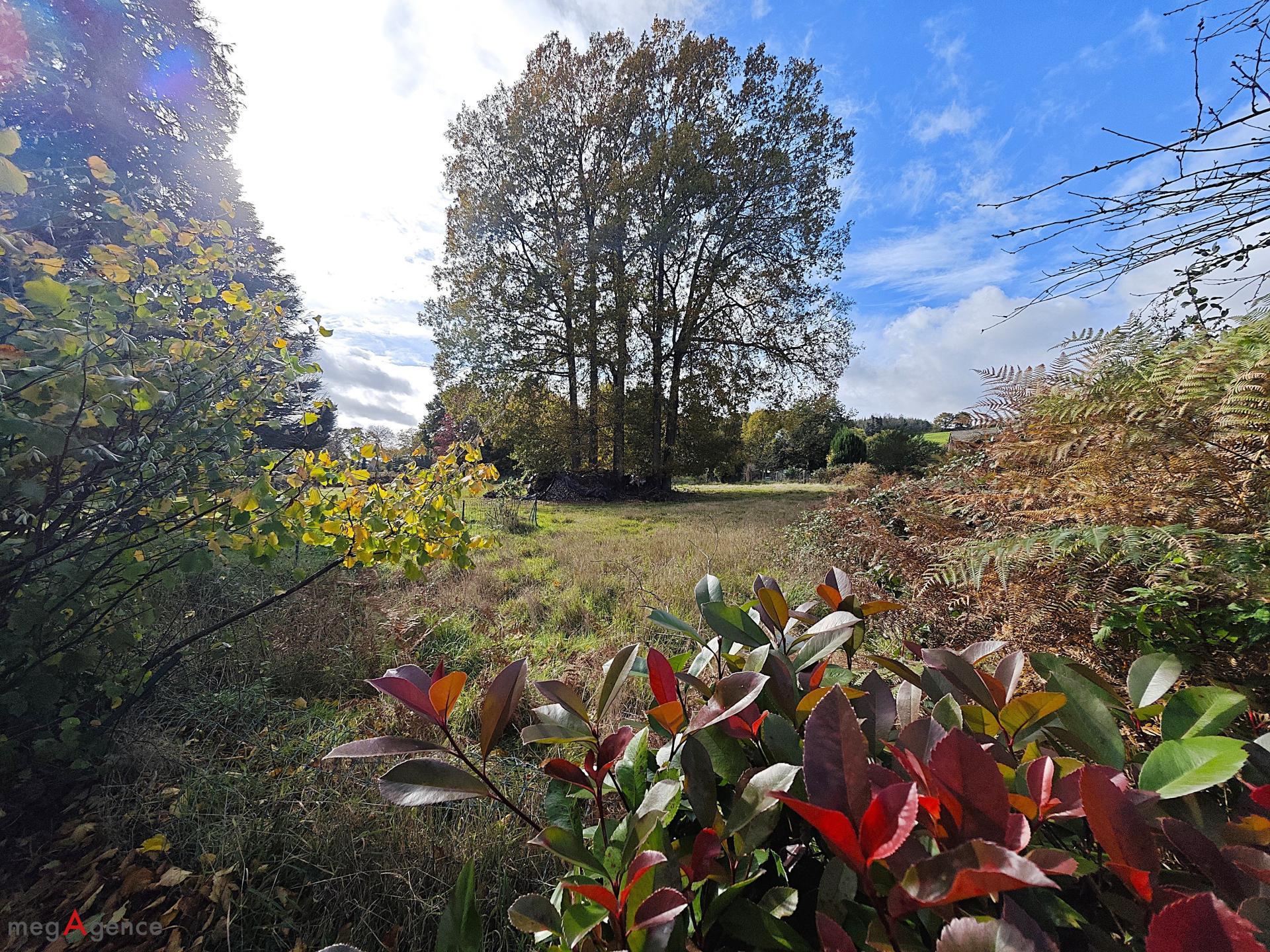 Miniature photo - 11 / 13