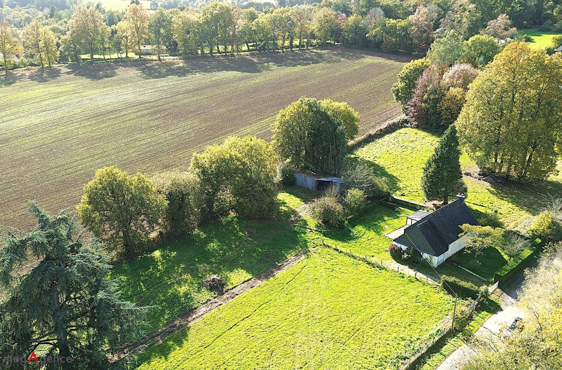 Miniature photo - 12 / 13