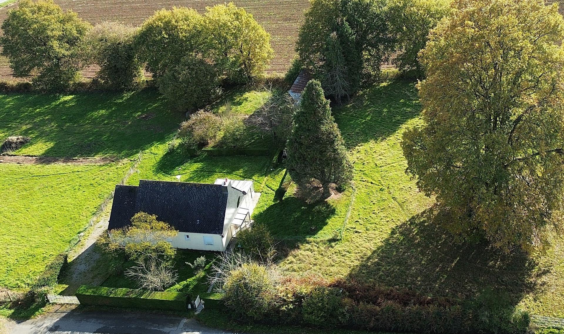 Miniature photo - 3 / 13