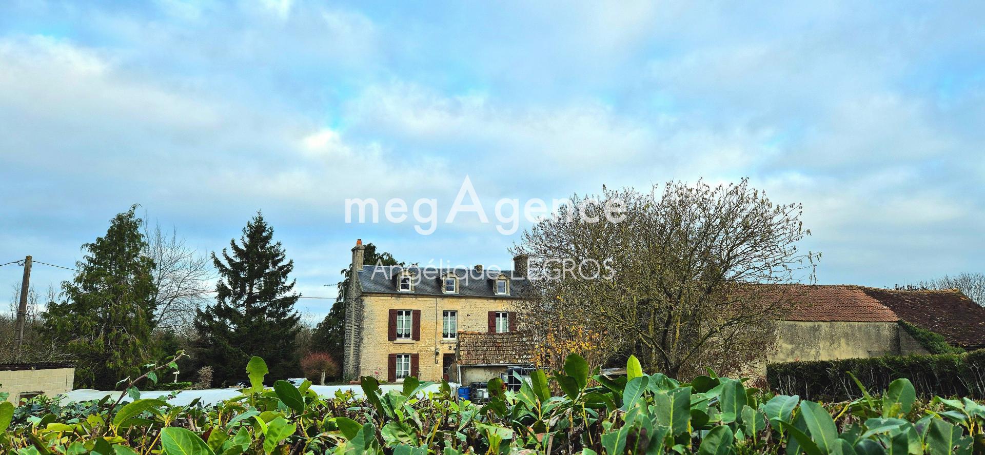 Miniature photo - 4 / 10