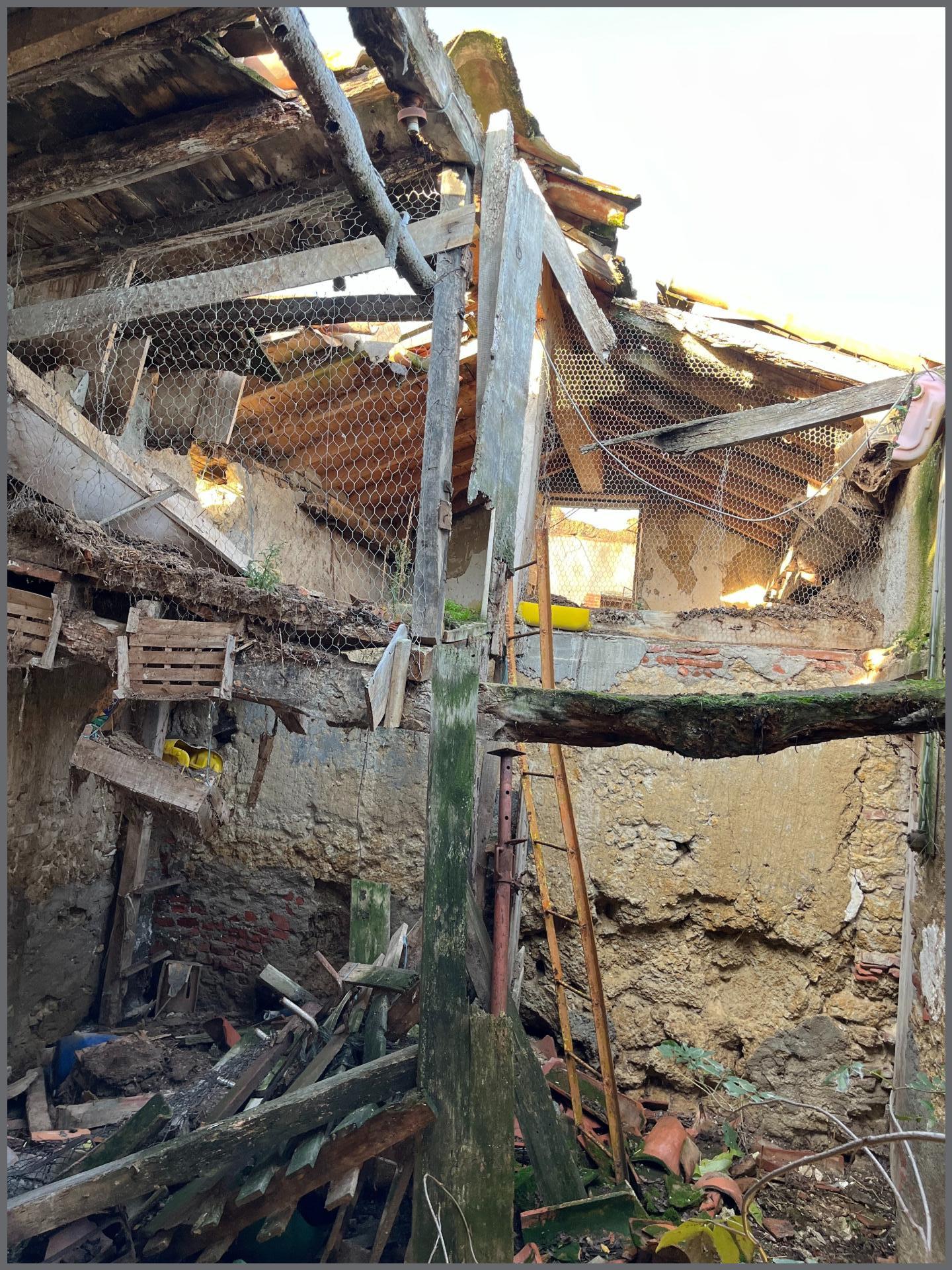 Miniature photo - 7 / 7