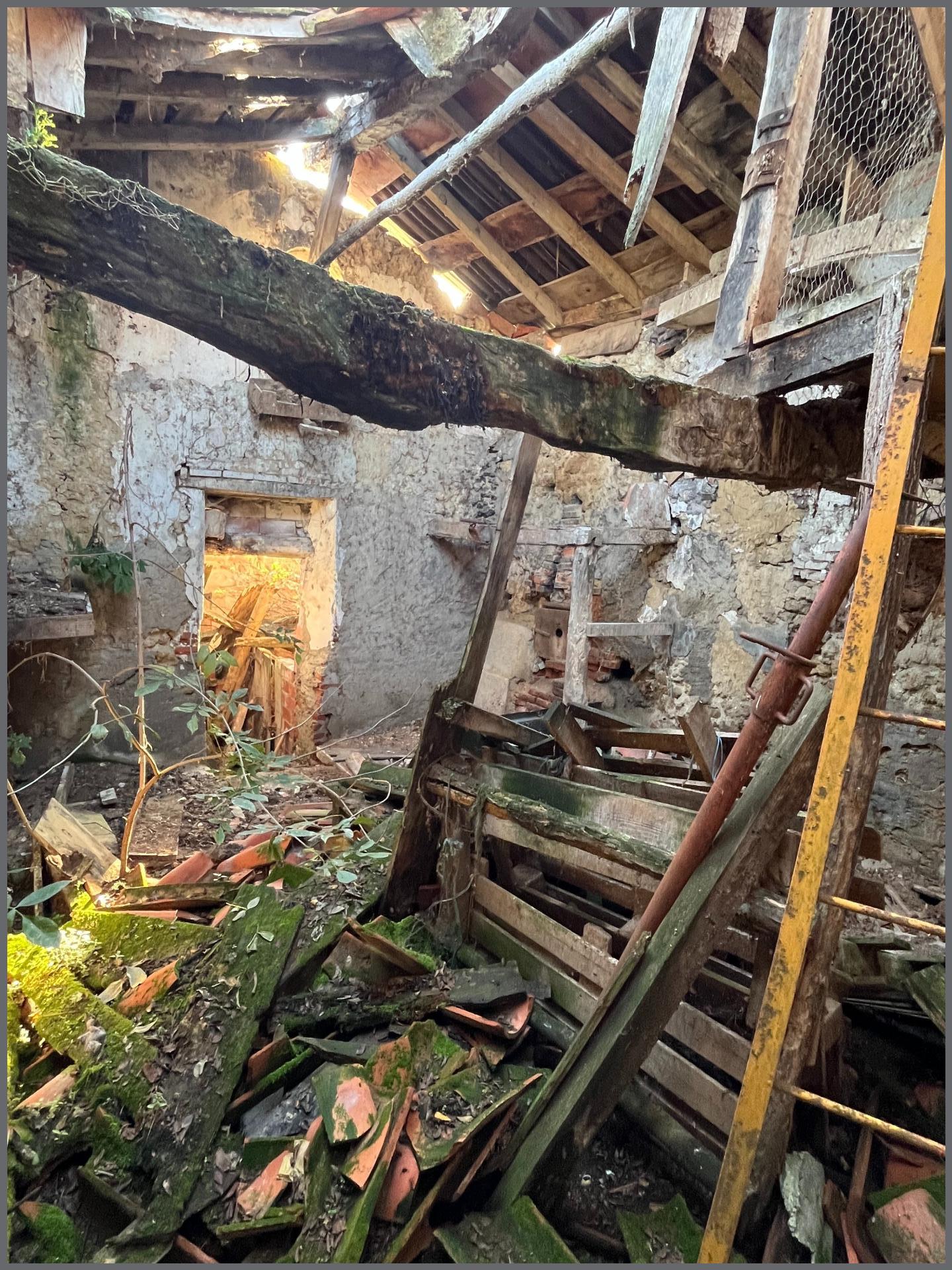 Miniature photo - 4 / 7