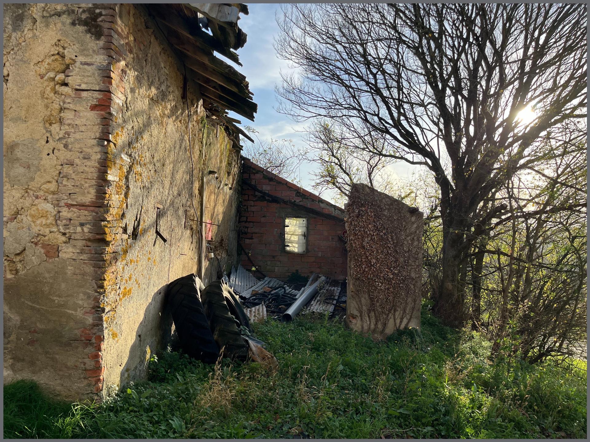 Miniature photo - 2 / 7