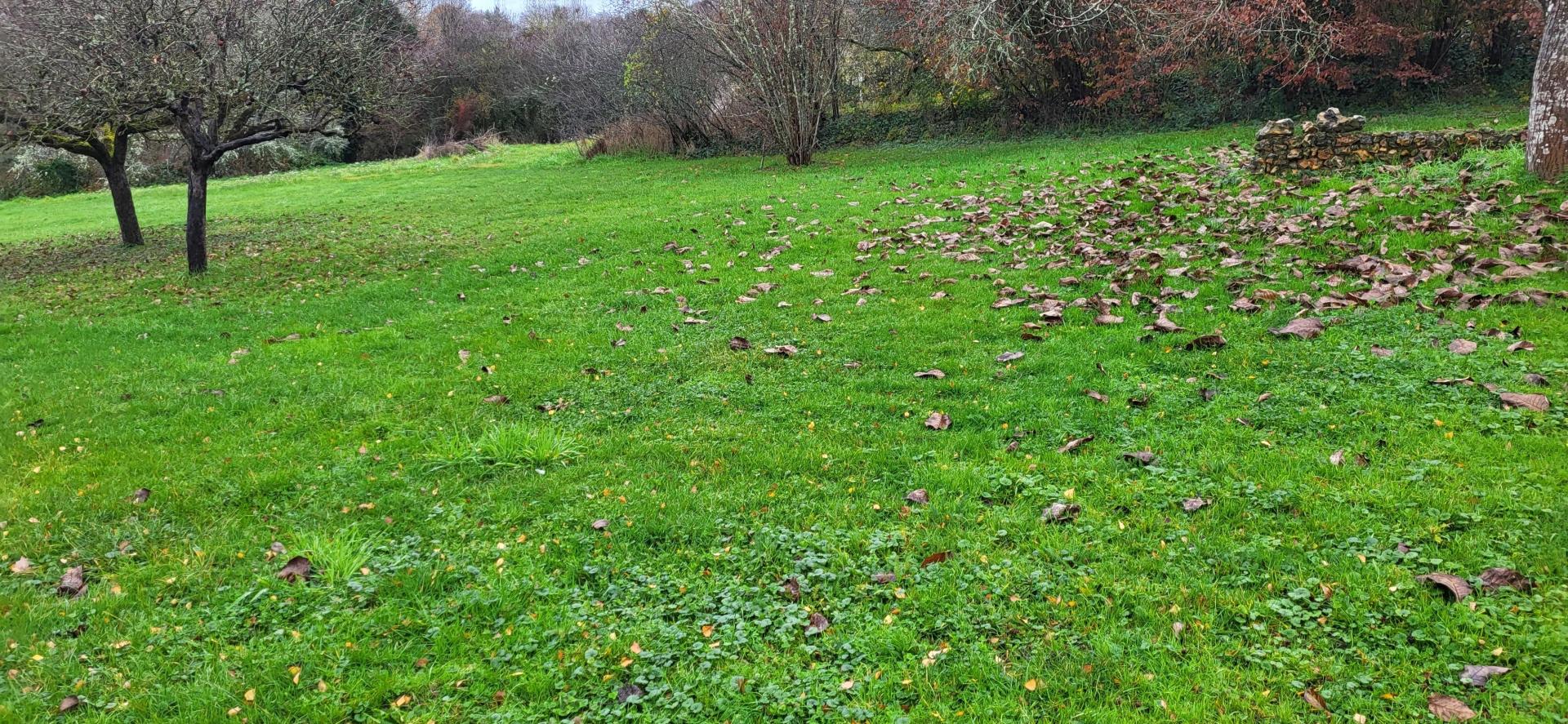 Miniature photo - 4 / 4