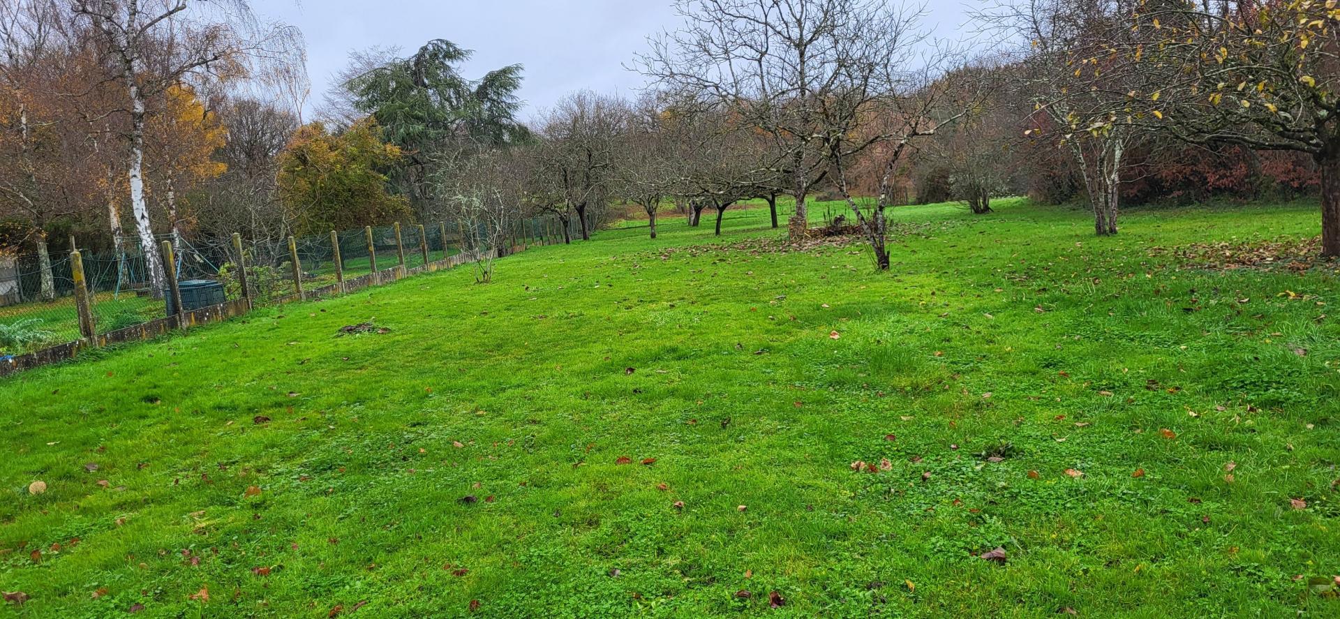 Miniature photo - 3 / 4