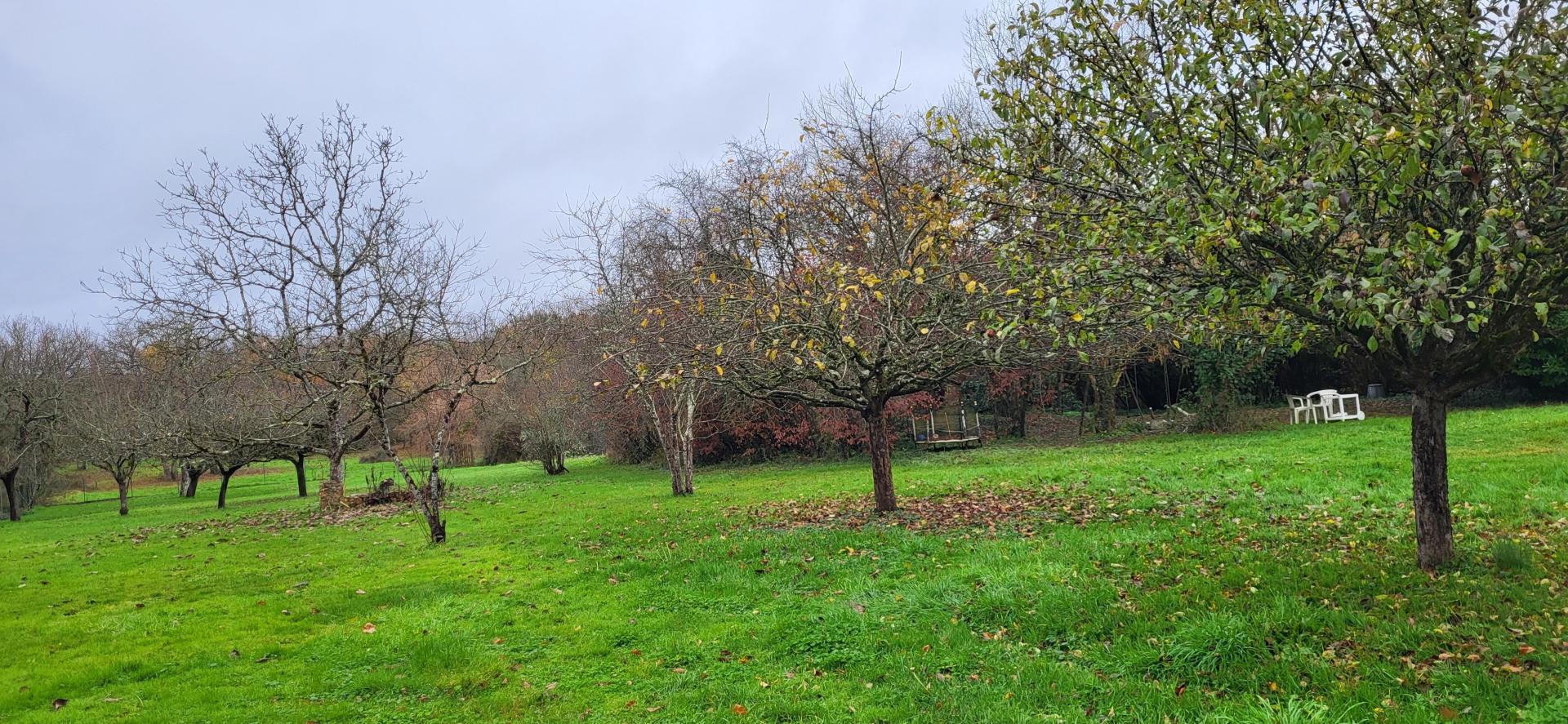 Miniature photo - 2 / 4