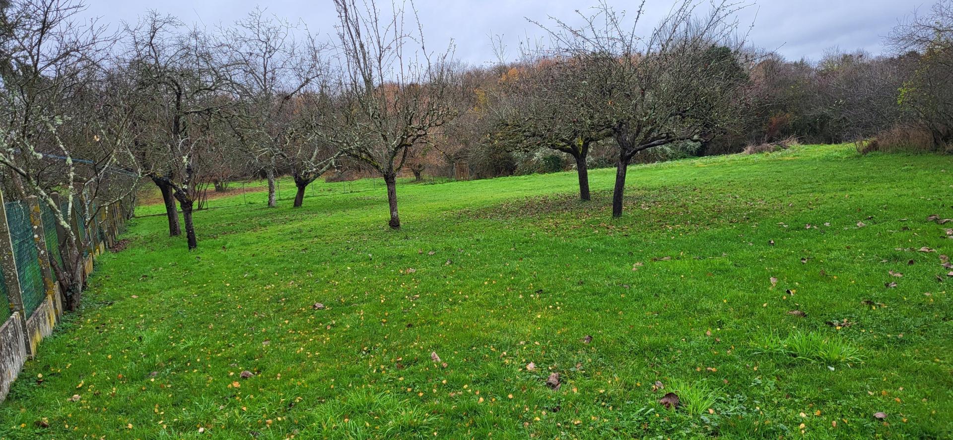 Photographie descriptive du bien