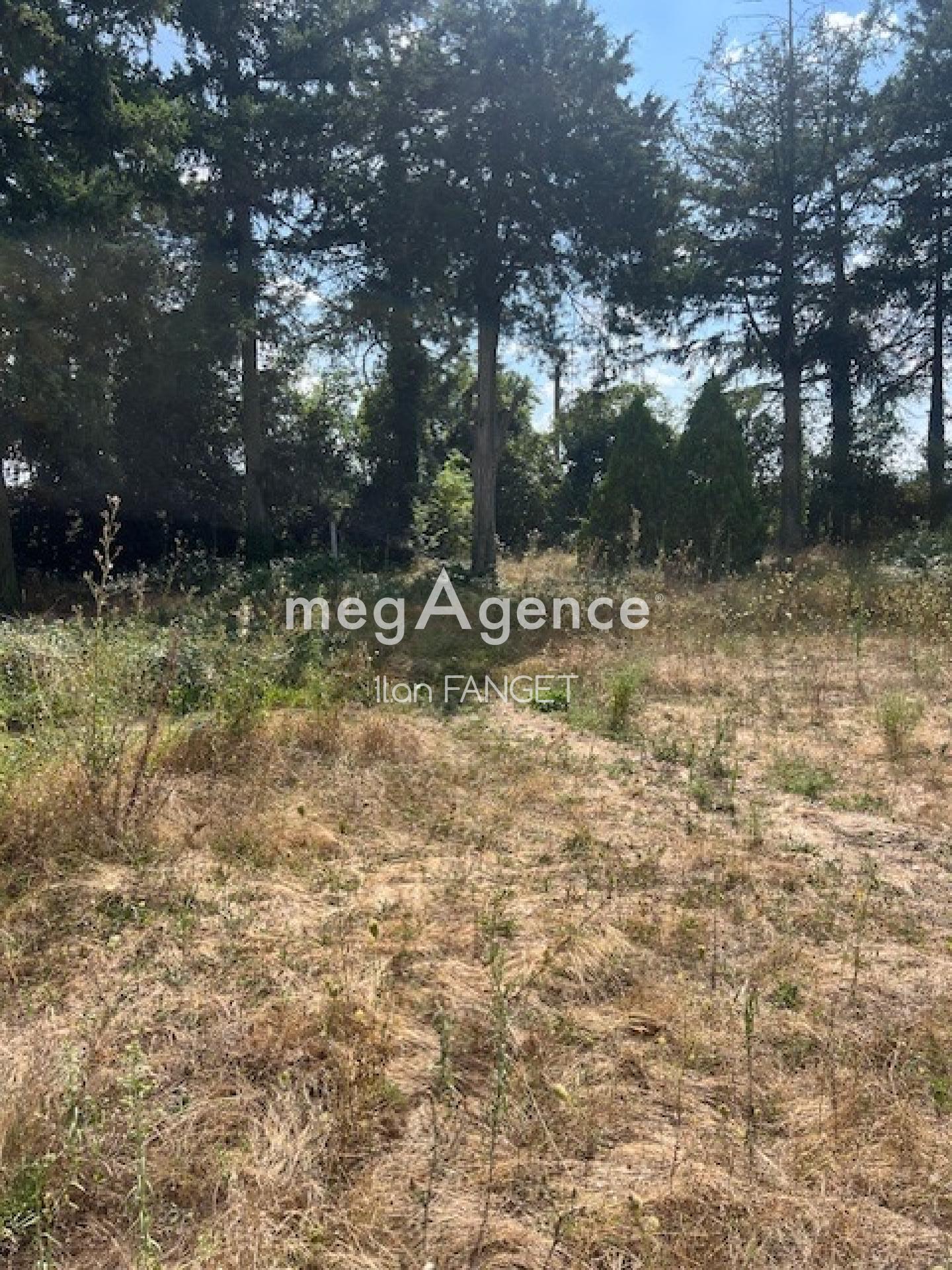 Miniature photo - 3 / 9