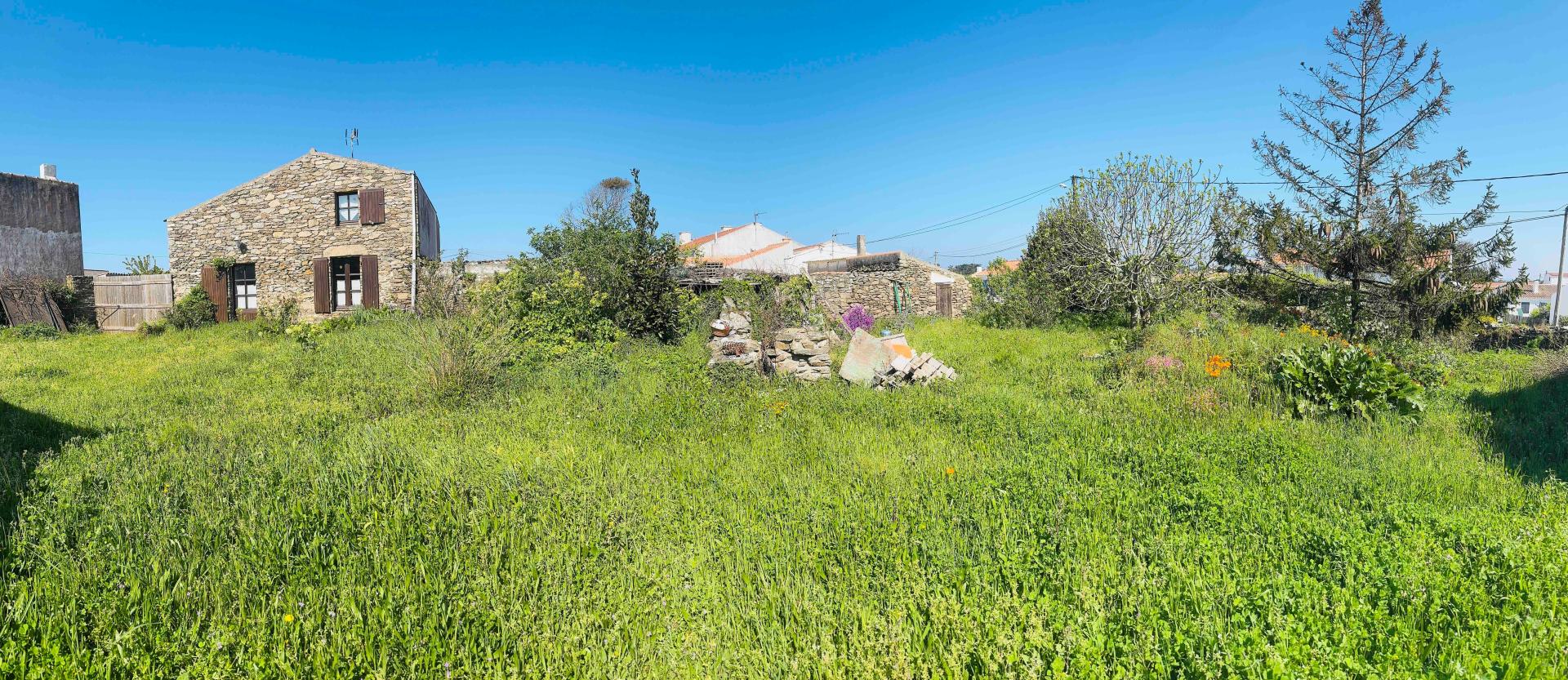 Miniature photo - 3 / 11