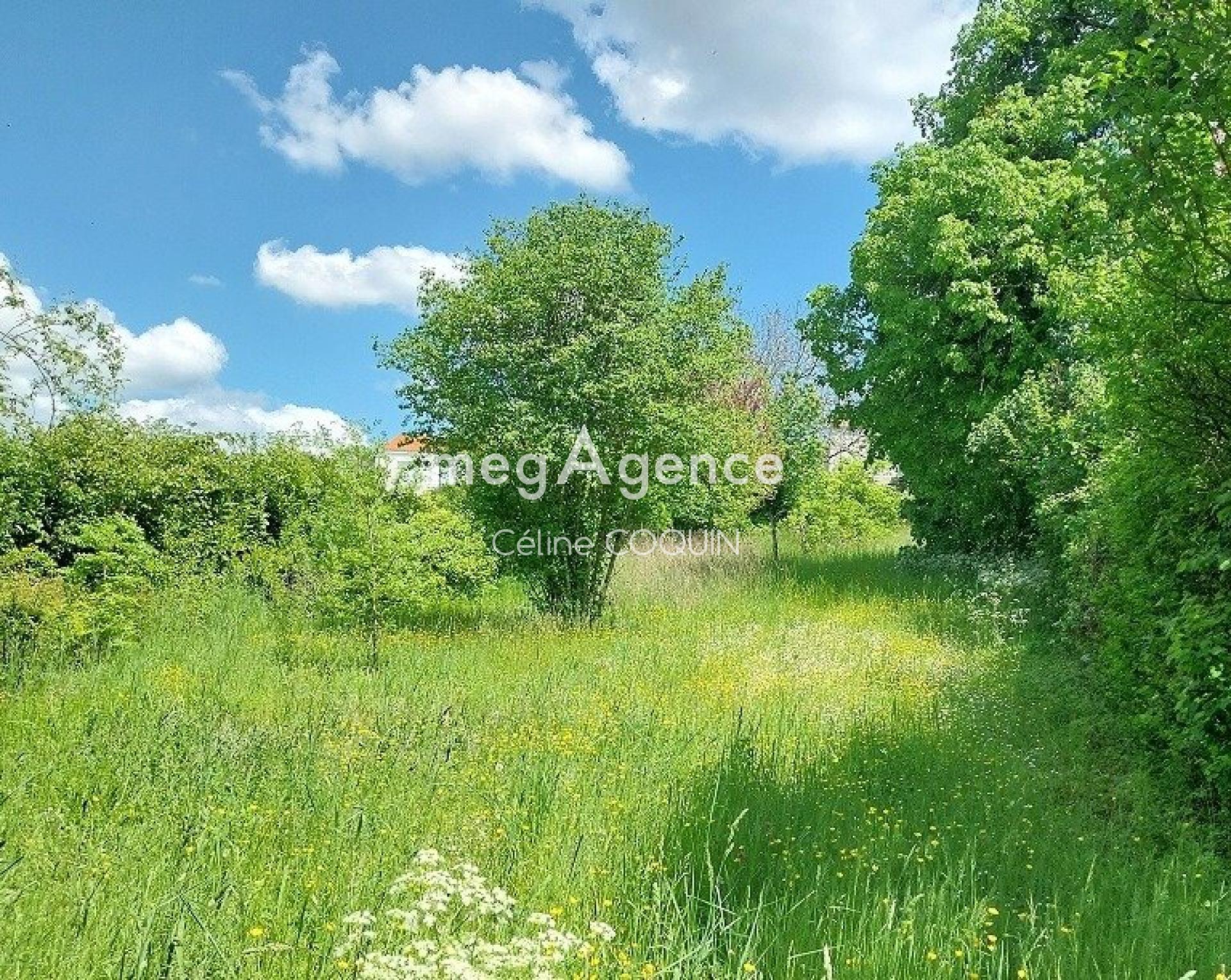 Miniature photo - 14 / 14