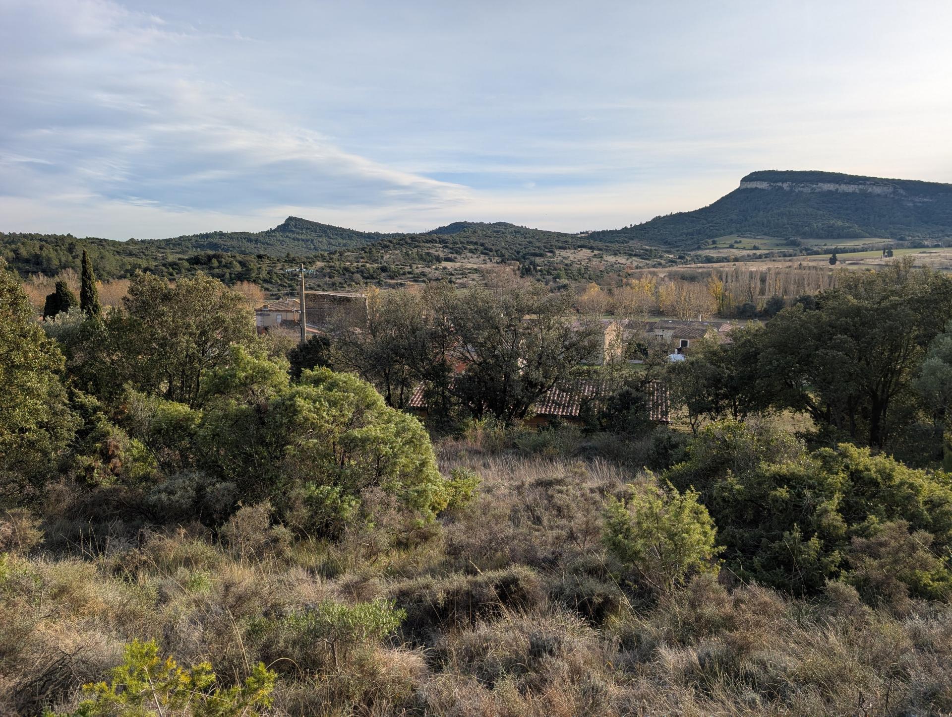 Miniature photo - 3 / 3