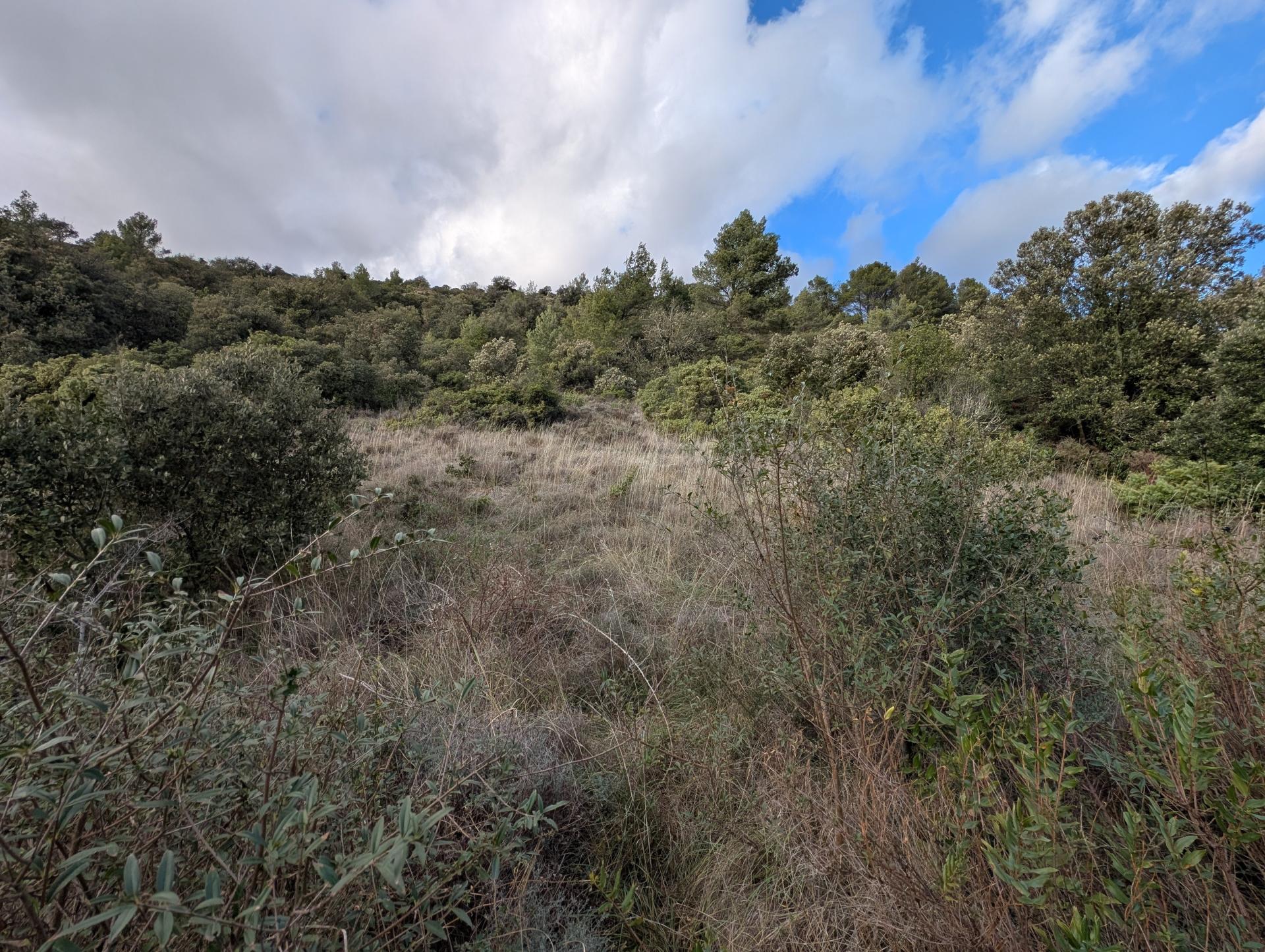 Miniature photo - 2 / 3