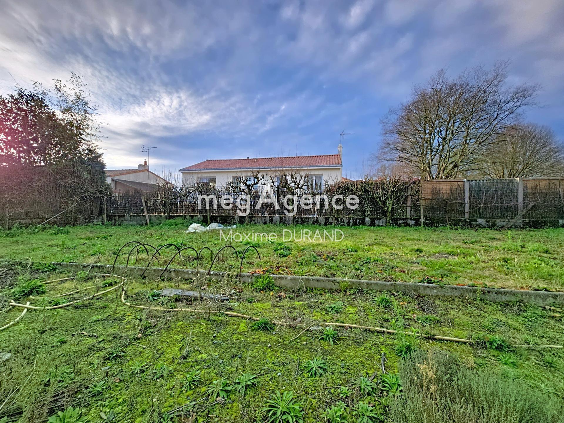 Miniature photo - 12 / 13