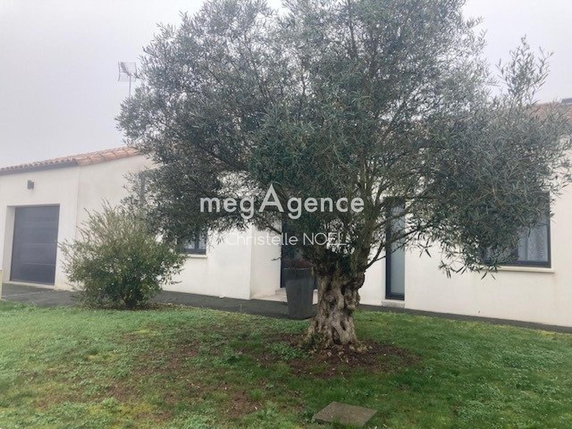 Miniature photo - 12 / 16