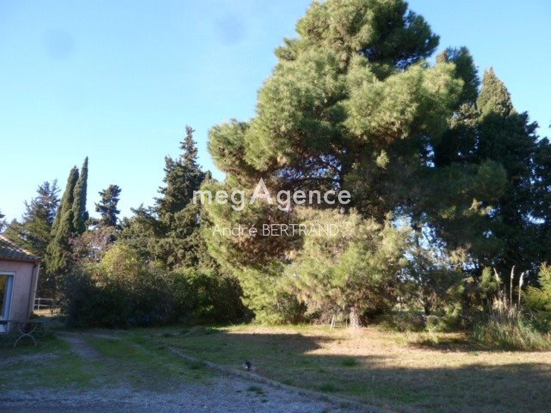 Miniature photo - 4 / 14