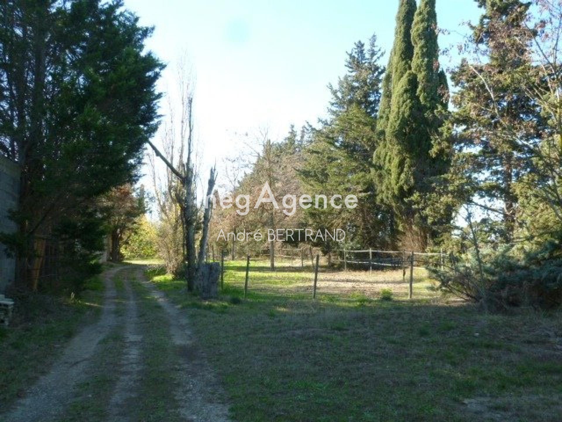 Miniature photo - 8 / 14