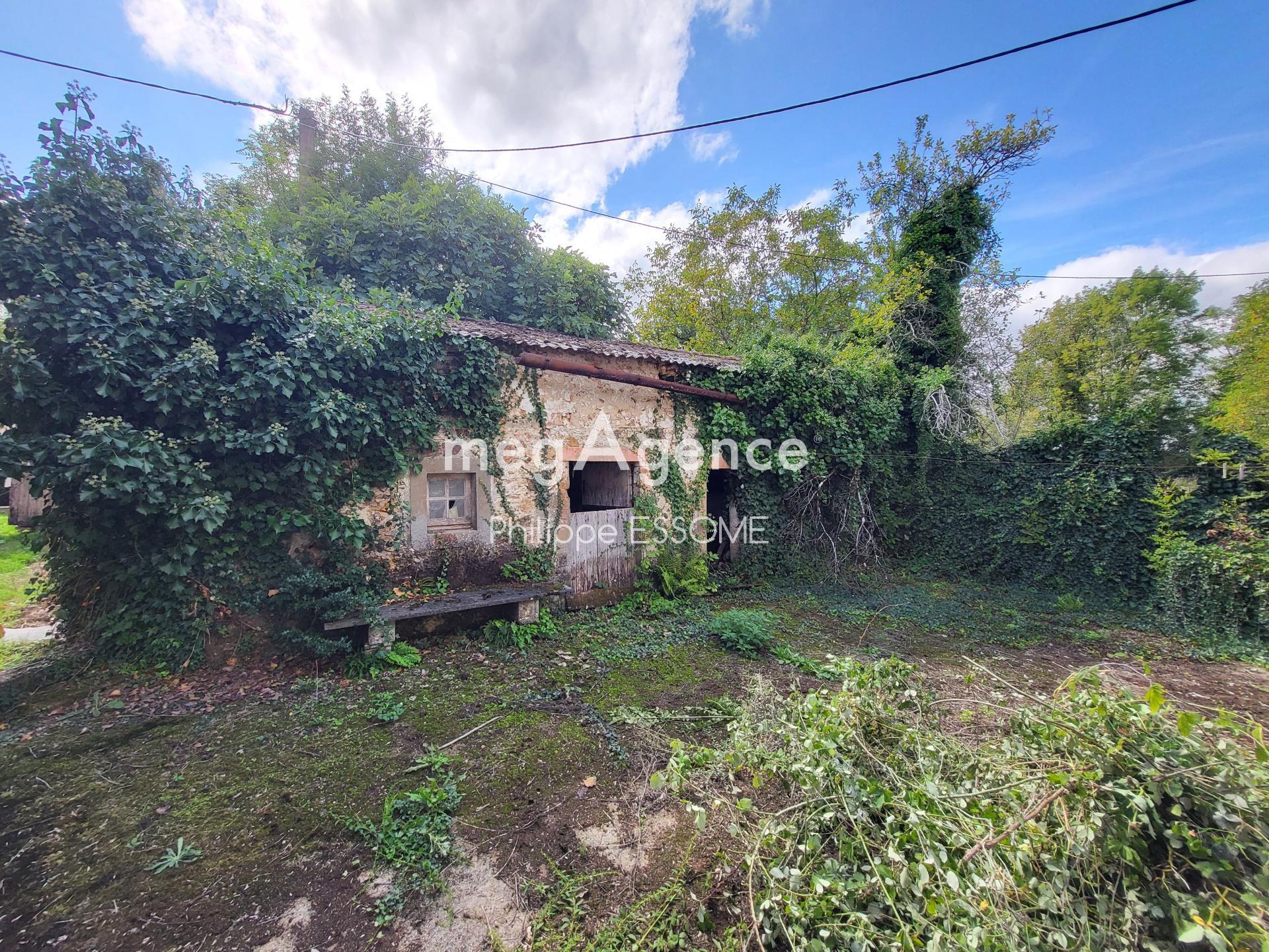 Miniature photo - 2 / 7