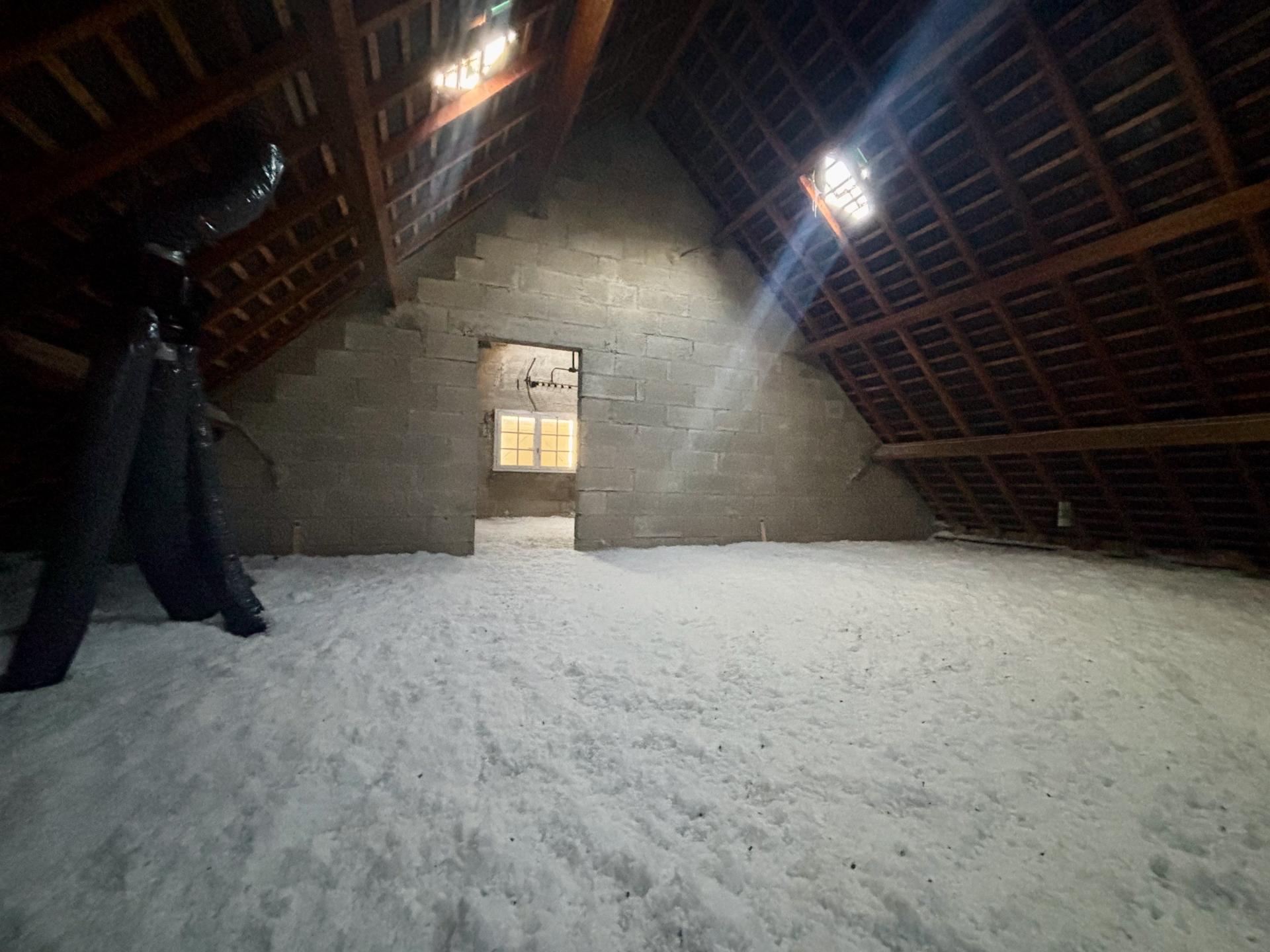 Miniature photo - 12 / 16