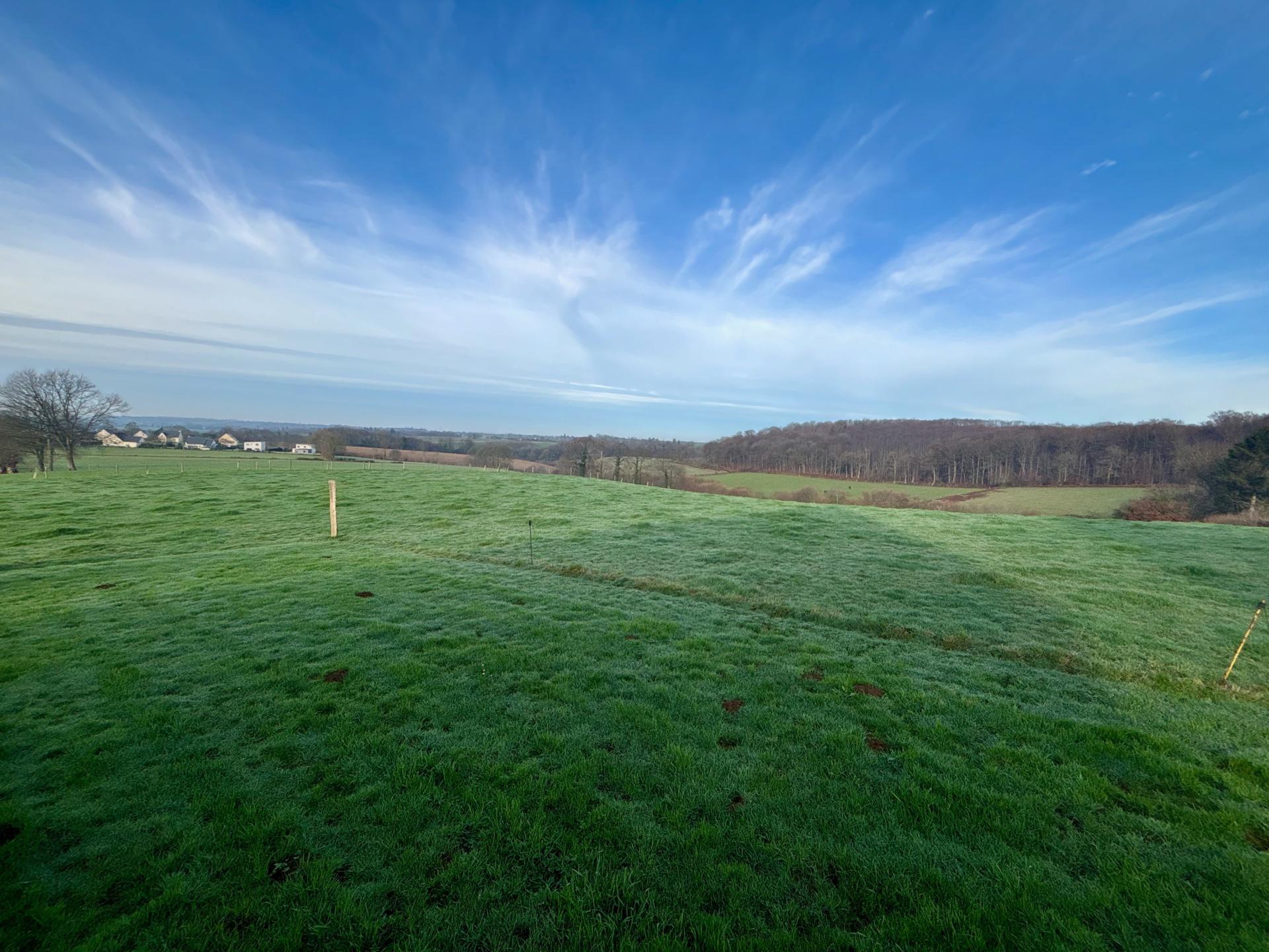 Miniature photo - 2 / 16