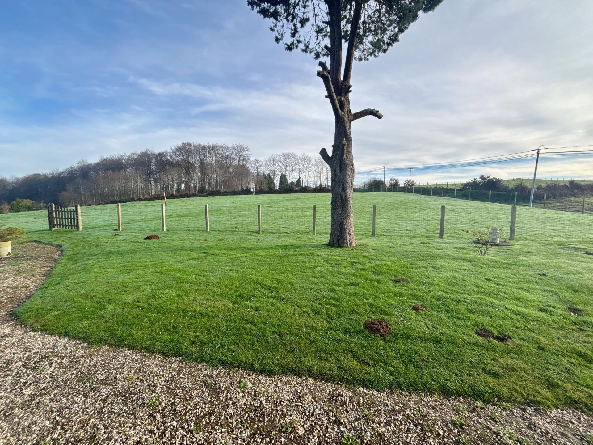 Miniature photo - 16 / 16