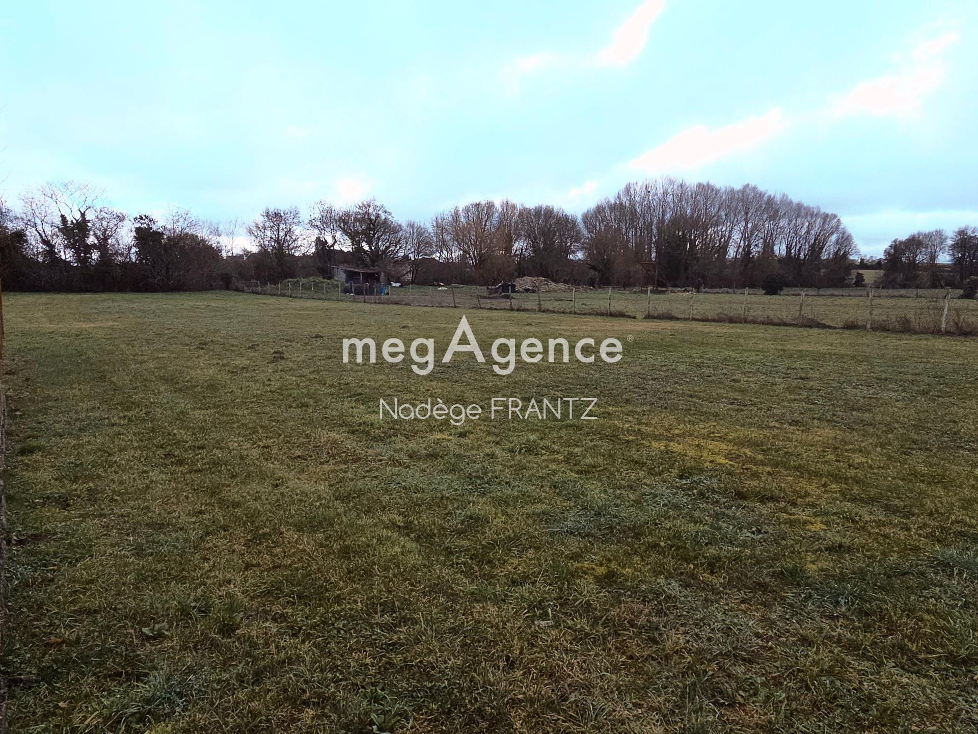 Miniature photo - 12 / 12