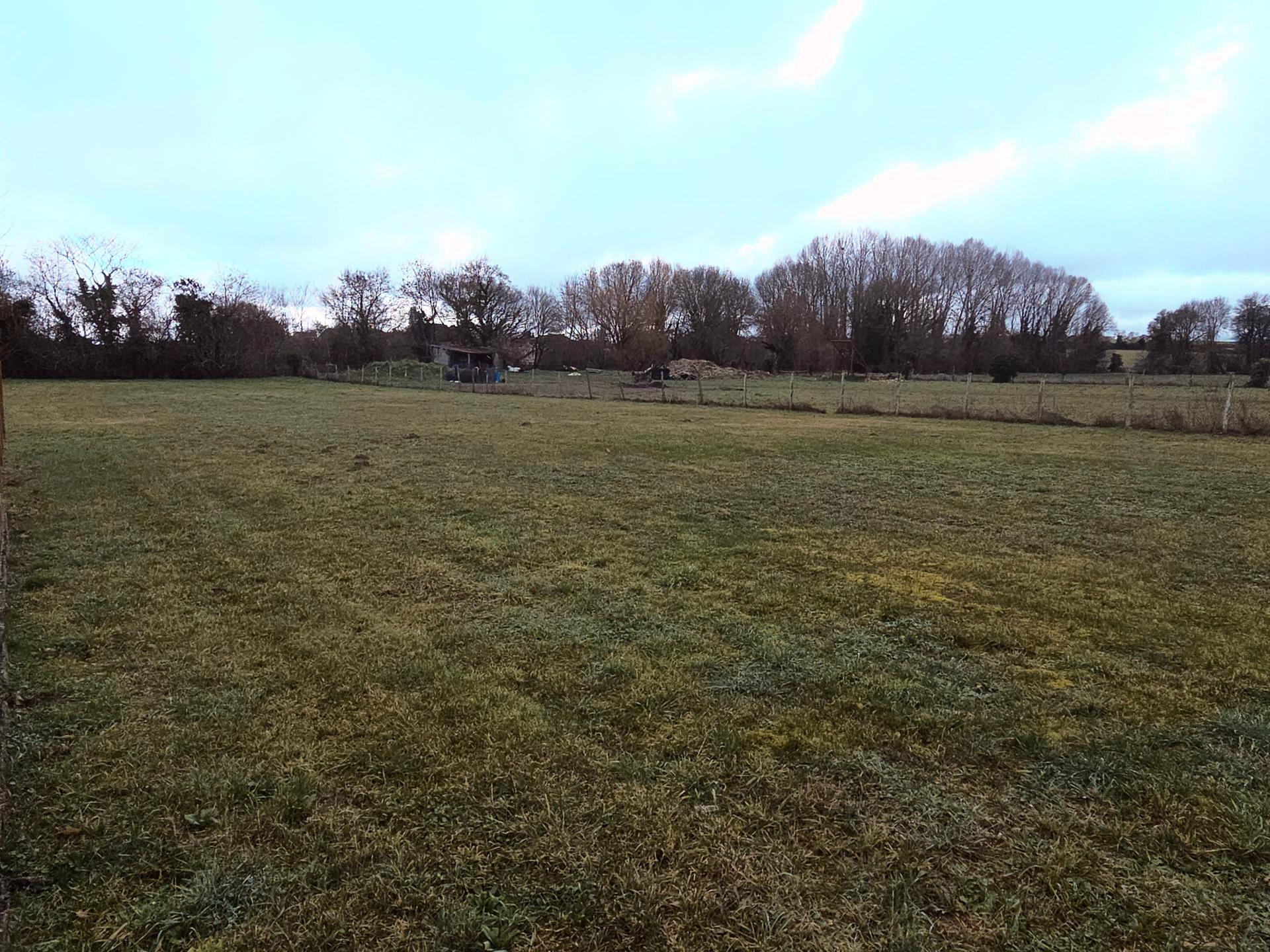 Miniature photo - 12 / 12