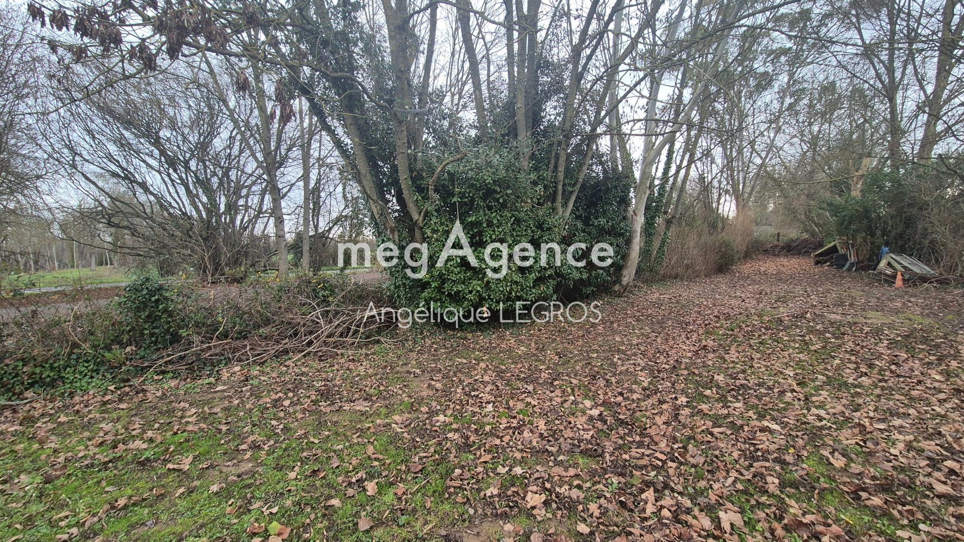 Miniature photo - 7 / 7